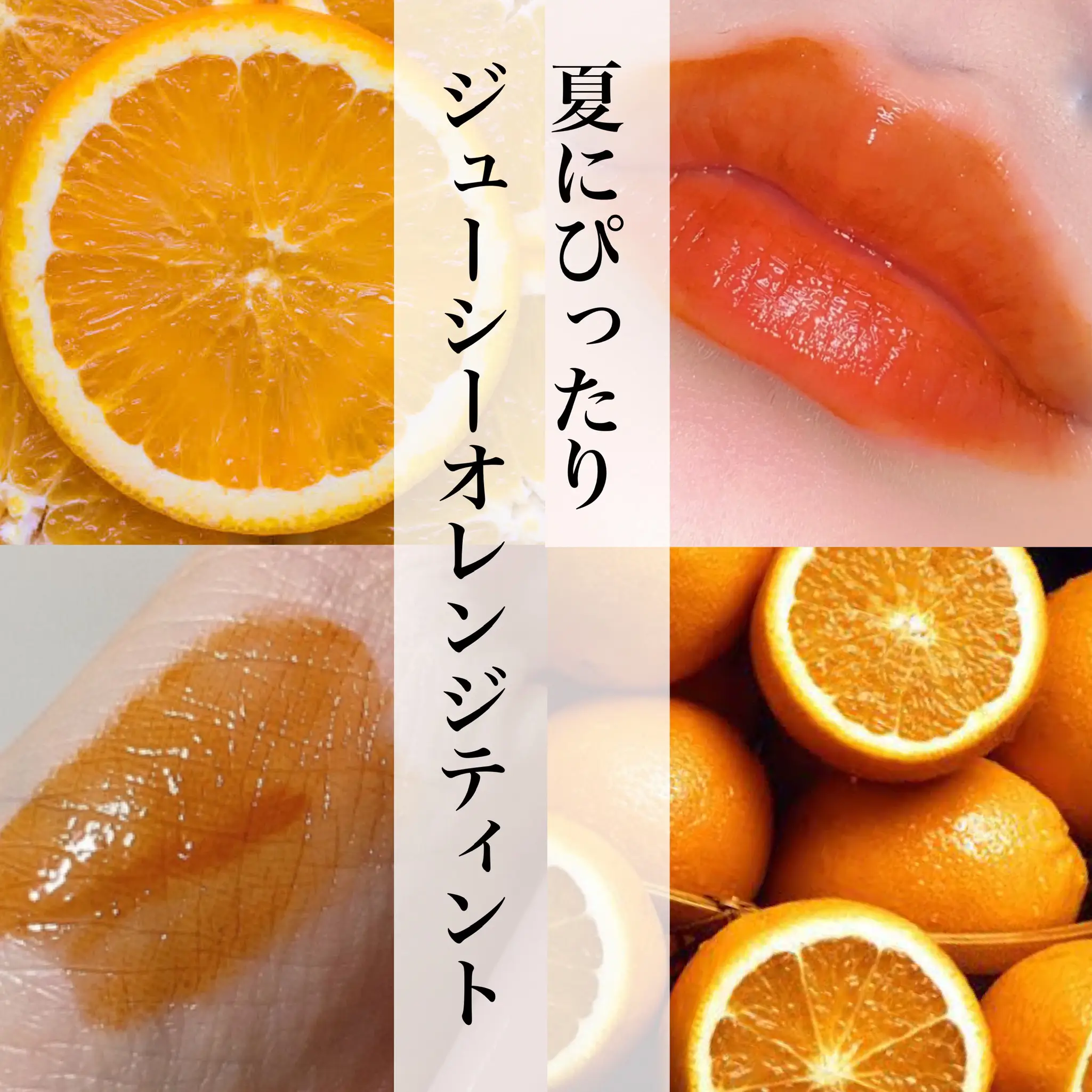 グレープフルーツ 15m×2本 【公式通販】