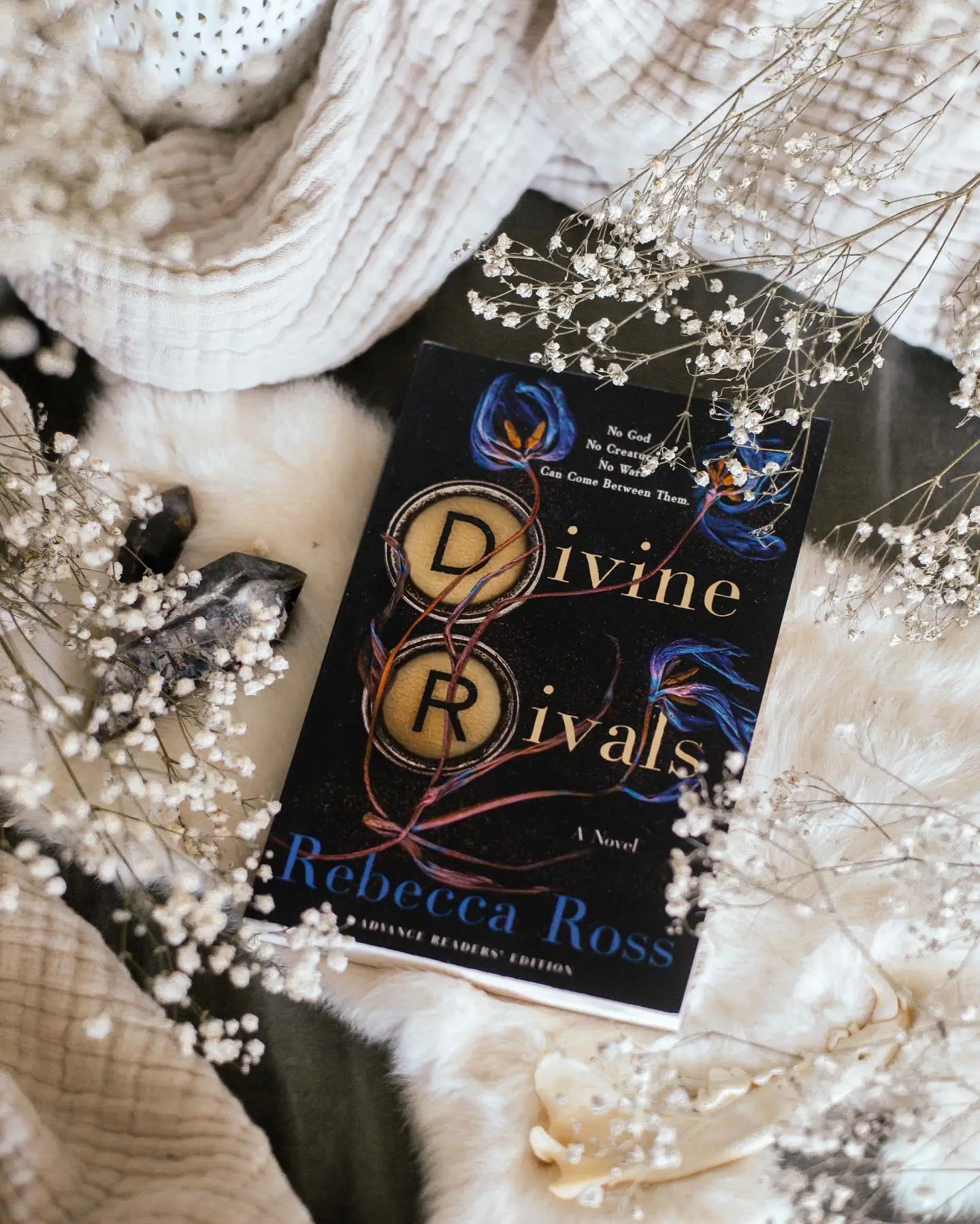 Divine Rivals - Rebecca Ross / Fairyloot Edition