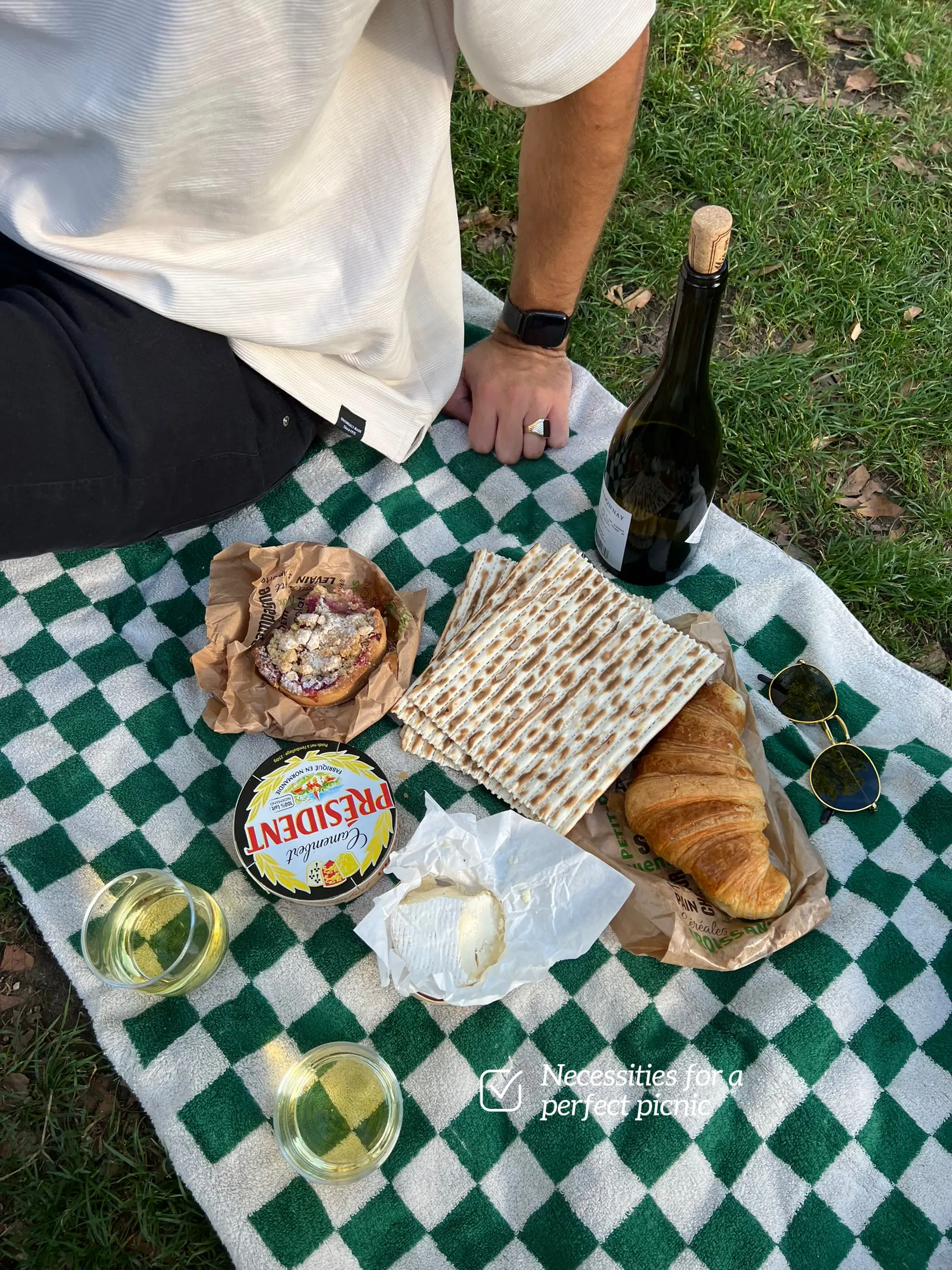 BrüMate - Your perfect picnic partner has arrived 🥂. Our stemless