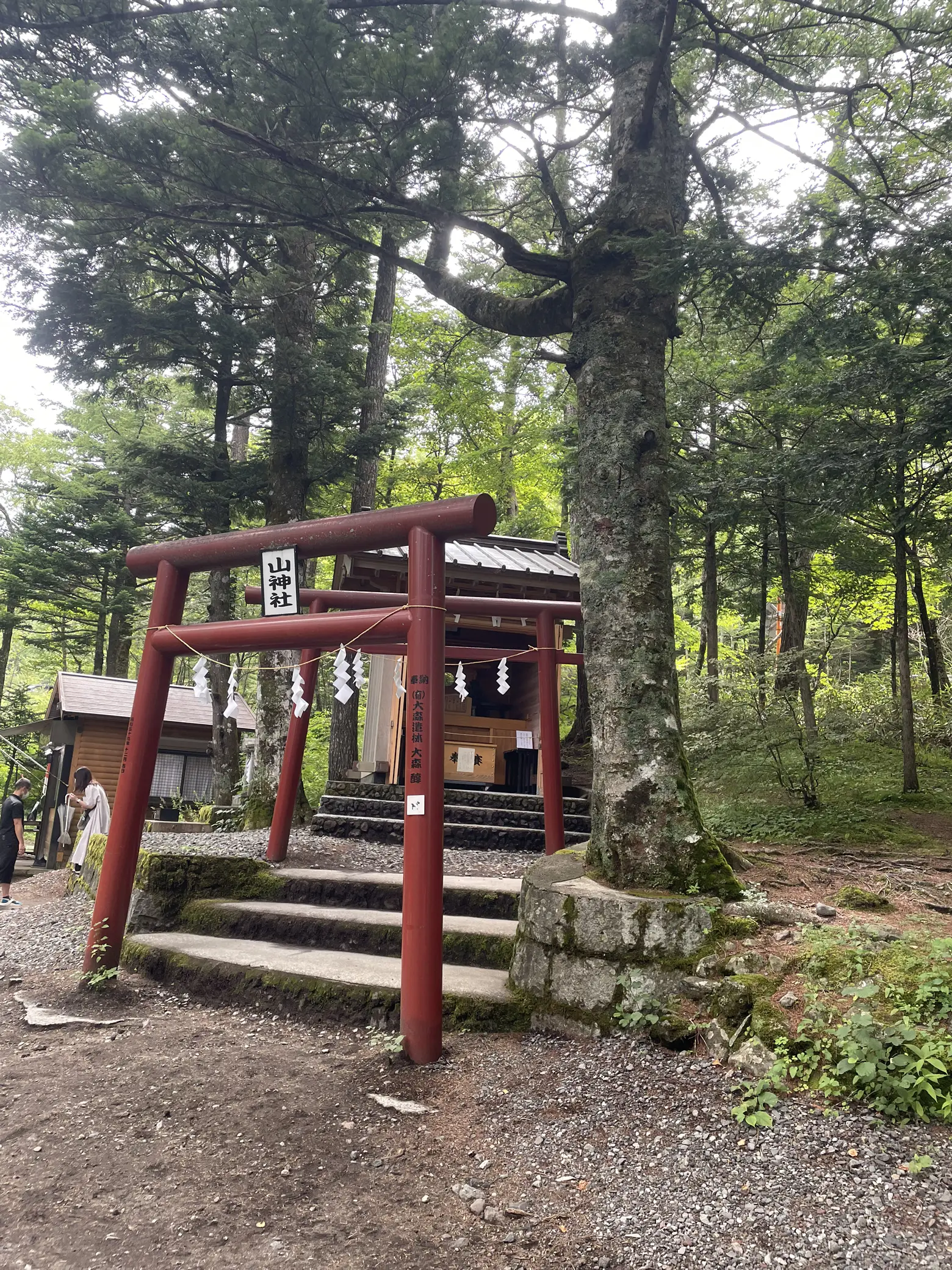 日本三大金運神社⛩ | takaが投稿したフォトブック | Lemon8