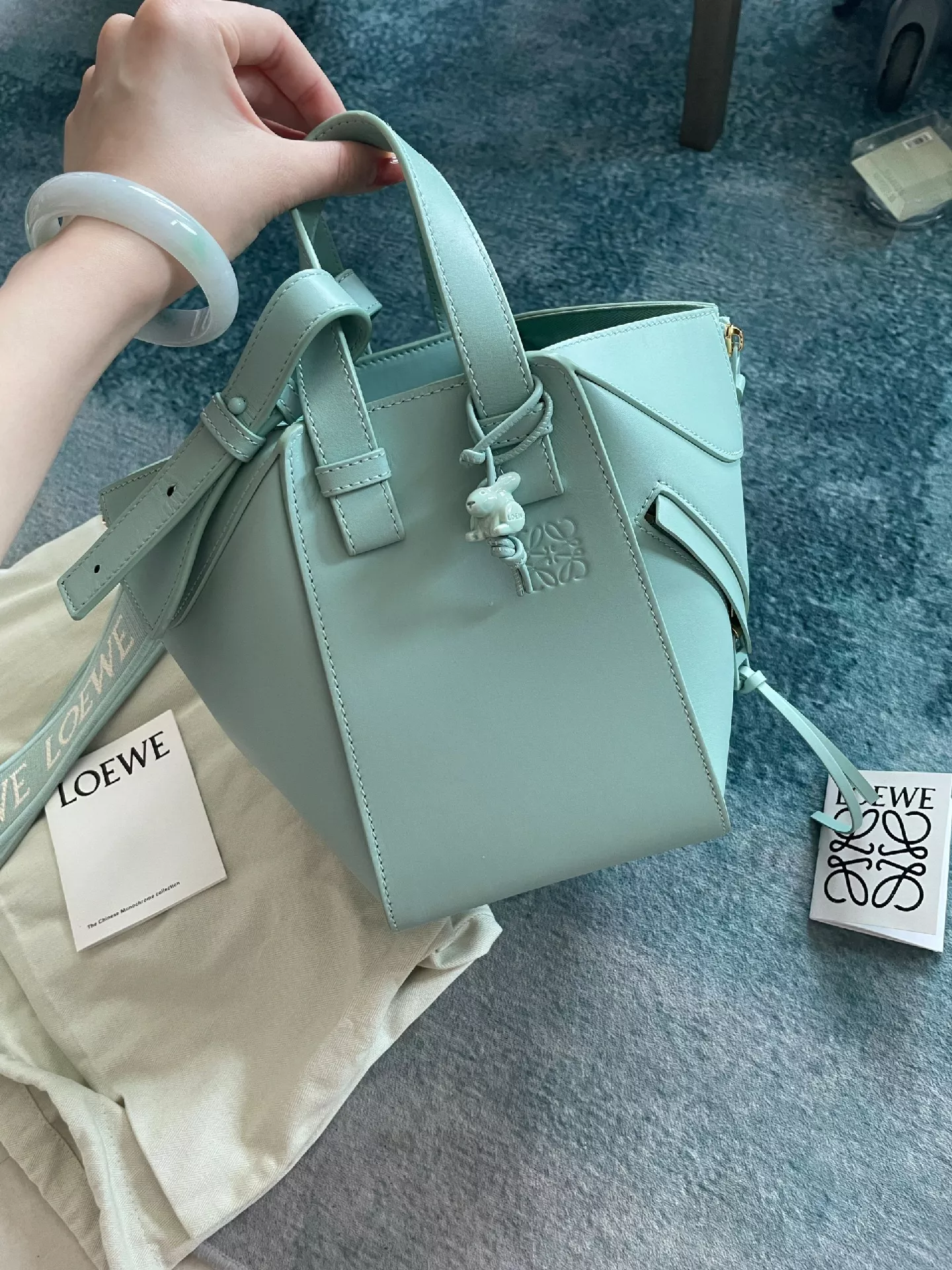 Loewe超可愛いバッグ、色が綺麗ですね | ciciが投稿したフォトブック | Lemon8