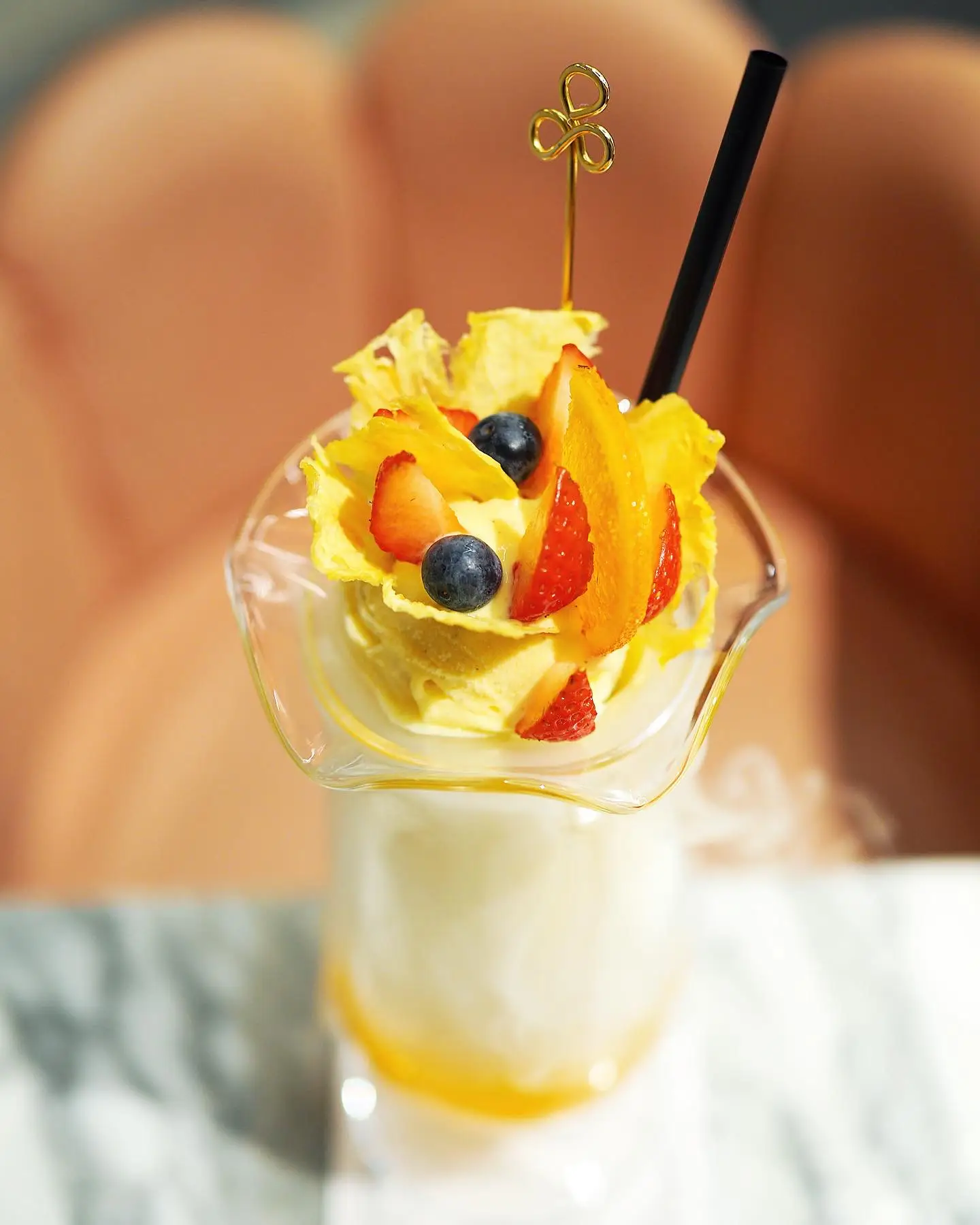 バードぱたぱたわくわくトランクパンセット バードぱたぱたわくわくトランクパンセット