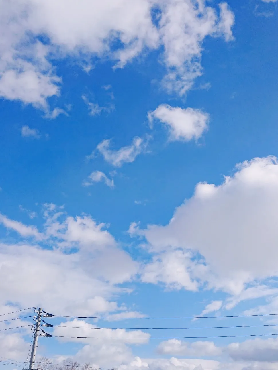 空好きが撮った写真☆本日の澄んだ青空！ | mi2ti@が投稿したフォトブック | Lemon8