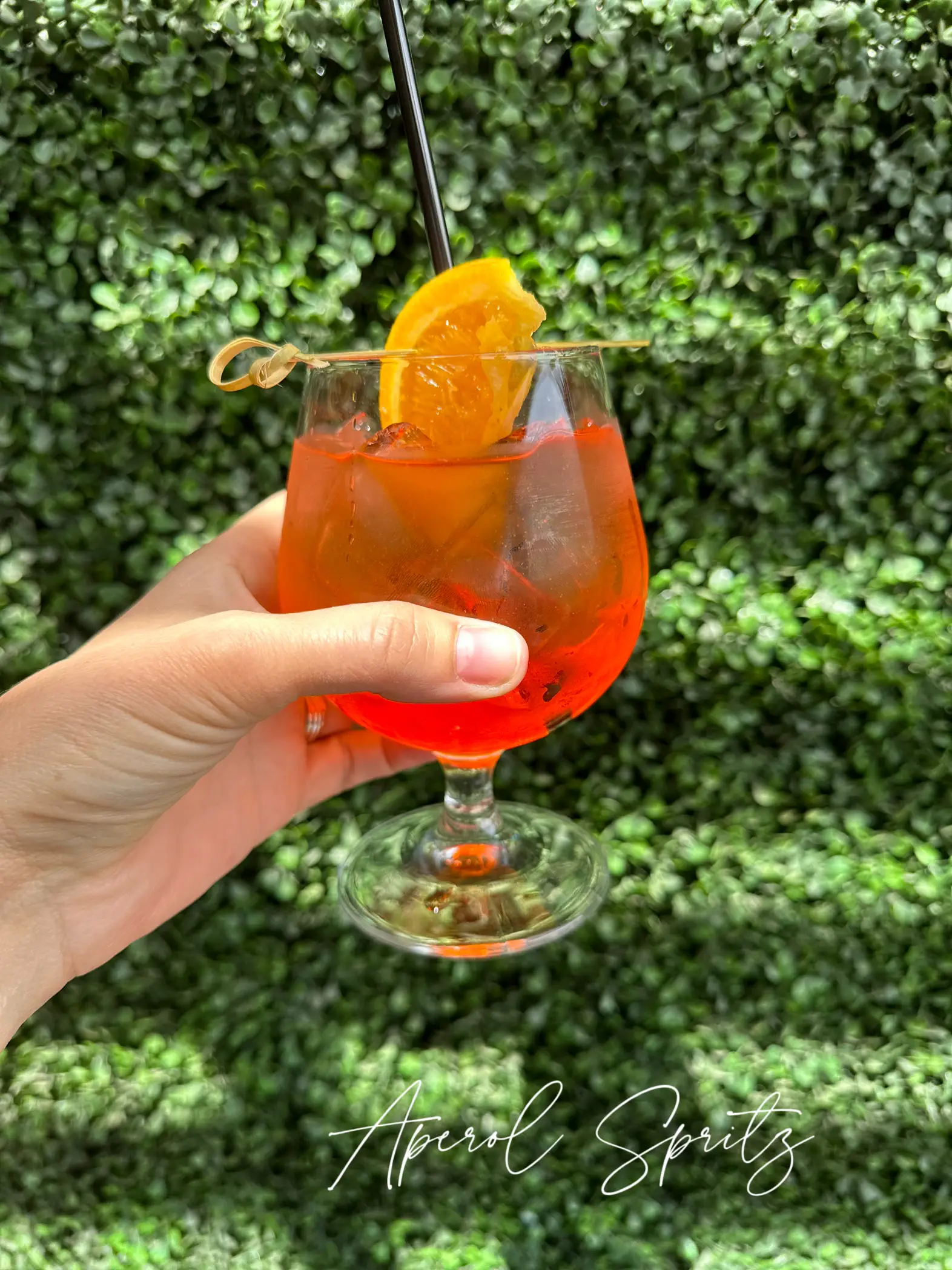 Aperol Spritz Gallery posted by Kelly Caruso Lemon8