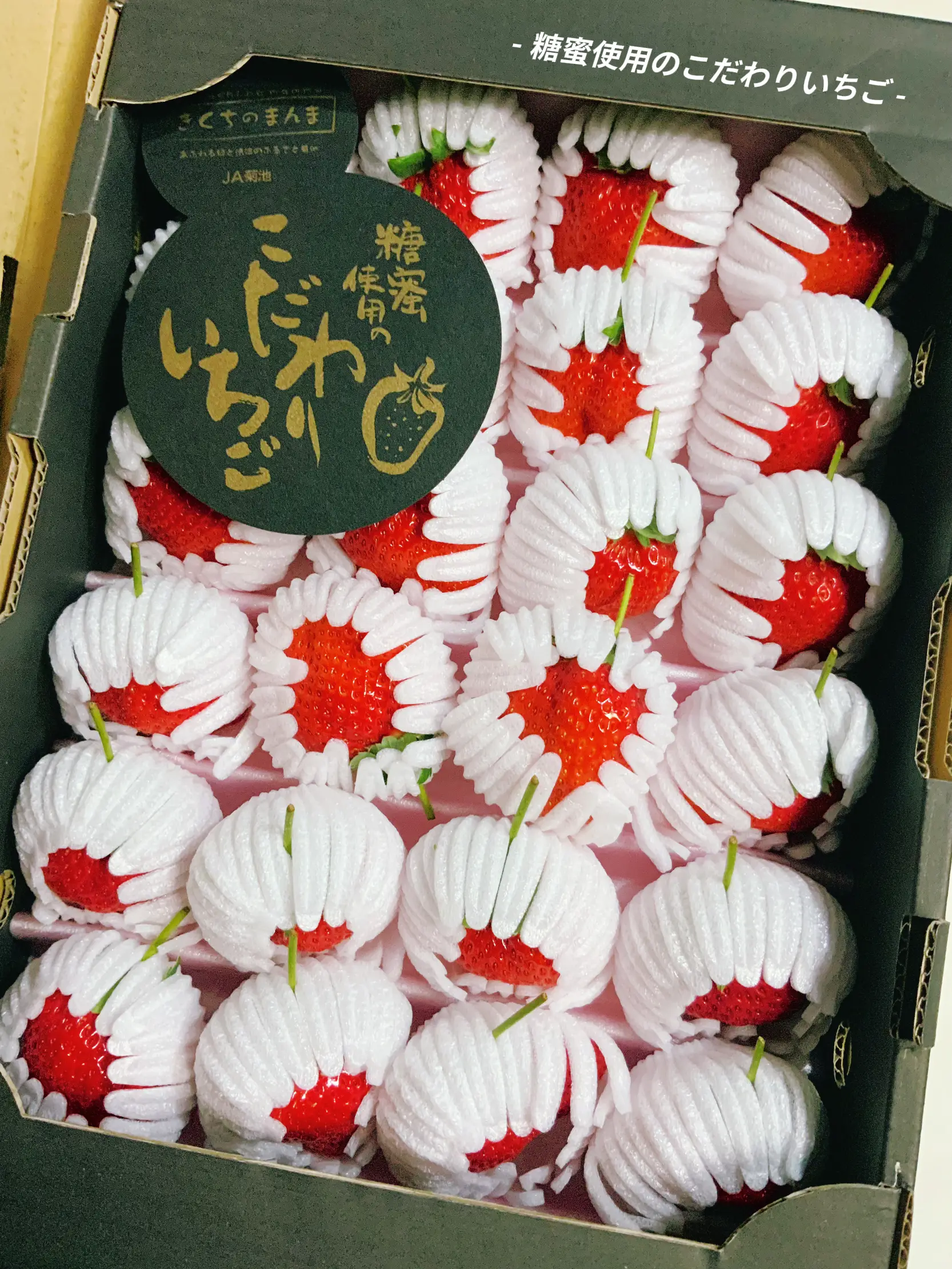 熊本県】糖蜜使用のこだわりいちご🍓 | 🍓MIYAのとちぎ散歩🍓が