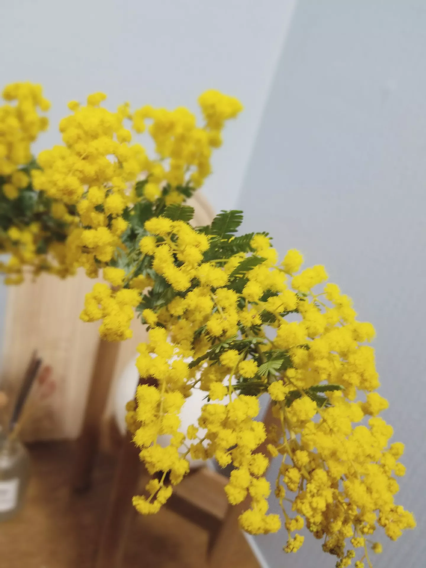 ミモザ買ったよ✧٩(ˊωˋ*)و✧ | ゆるこ🌼丁寧な暮らしが投稿したフォトブック | Lemon8