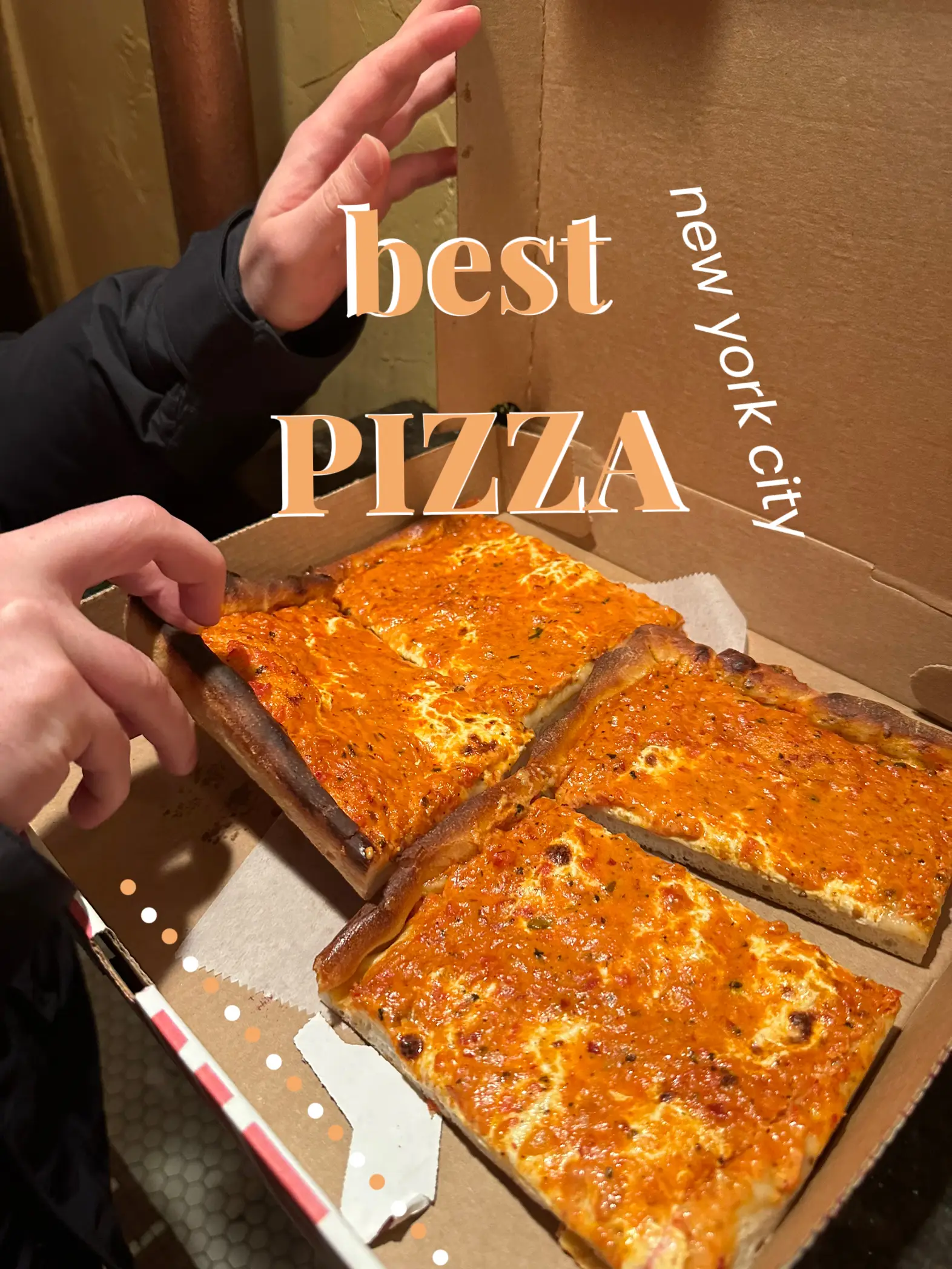 best pizza williamsburg dsve portnoy｜TikTok Search