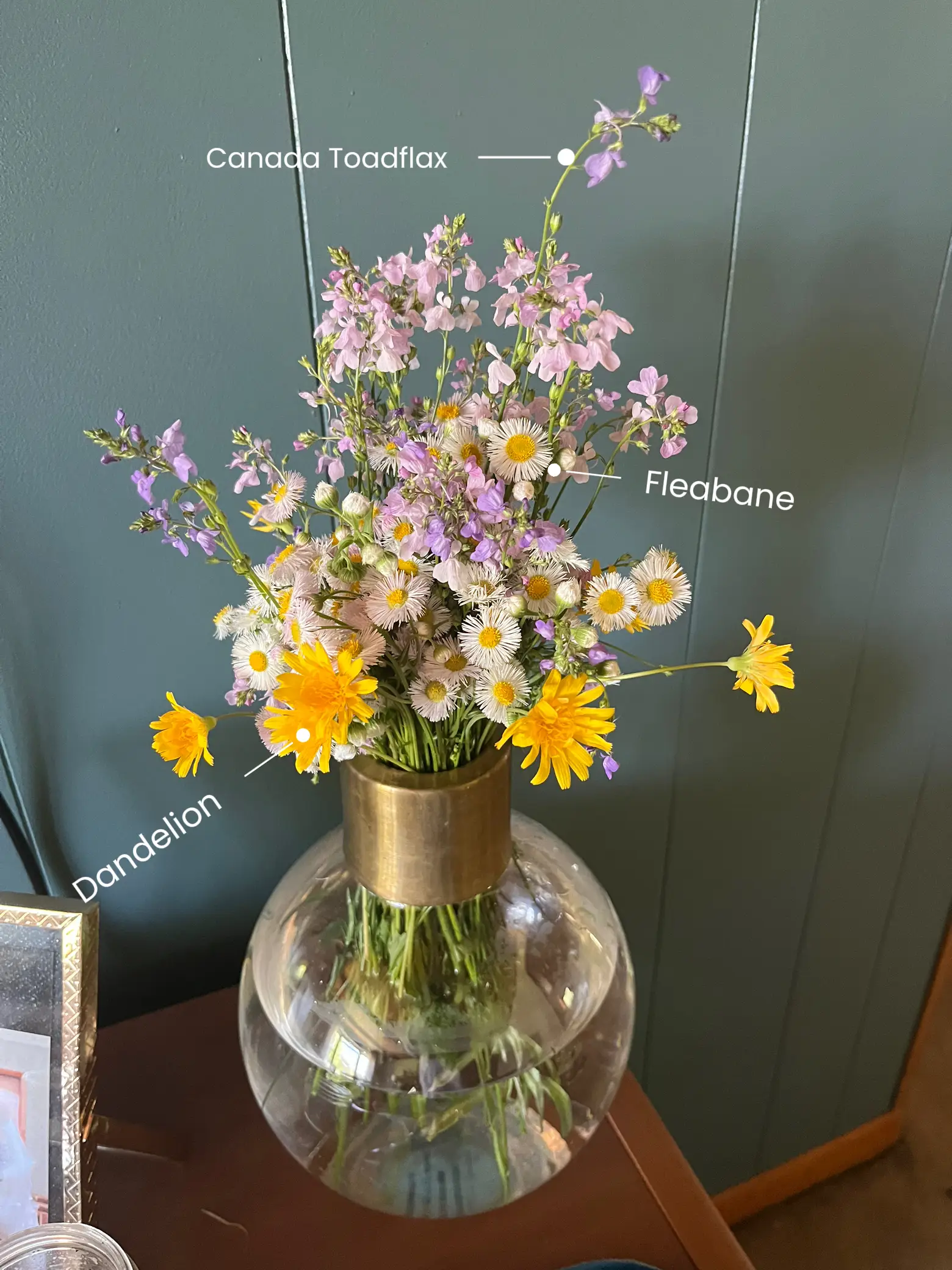 Romance with Weeds: Wildflower Arrangements