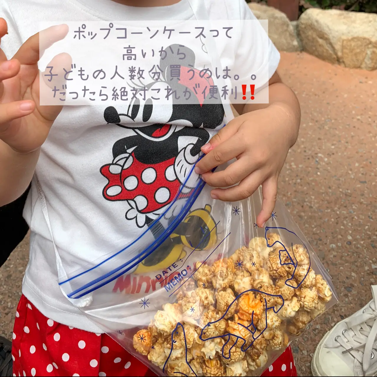 ディズニー 食べ物 持ち込み - Lemon8検索