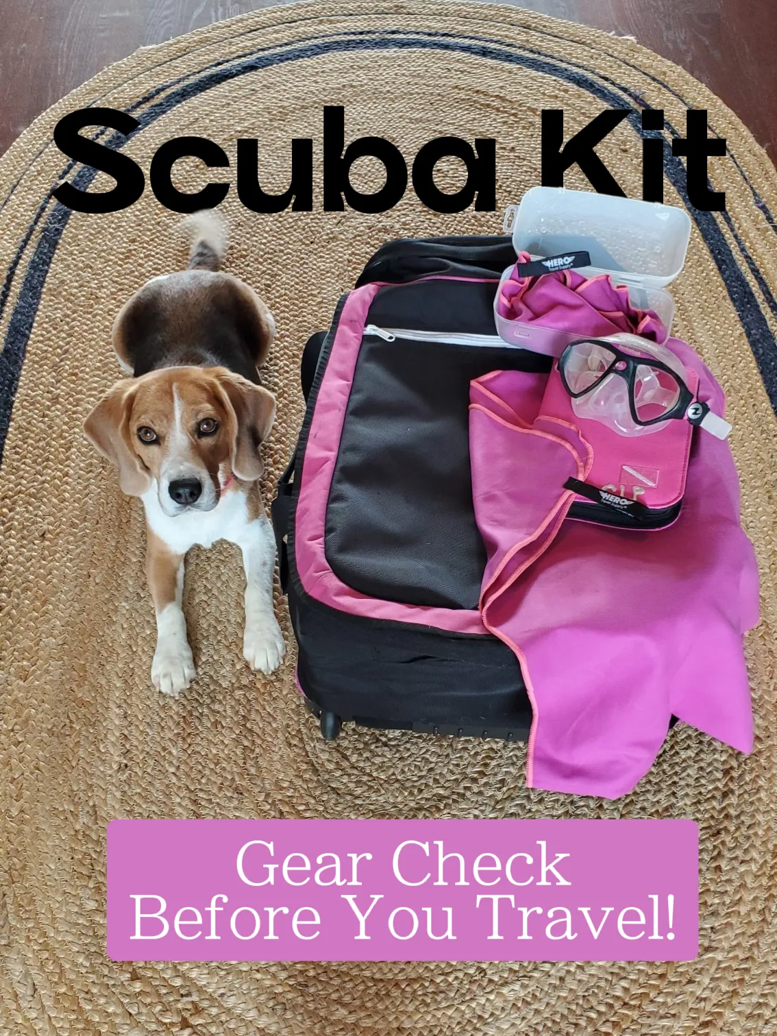 Get Ready To Scuba!'s images