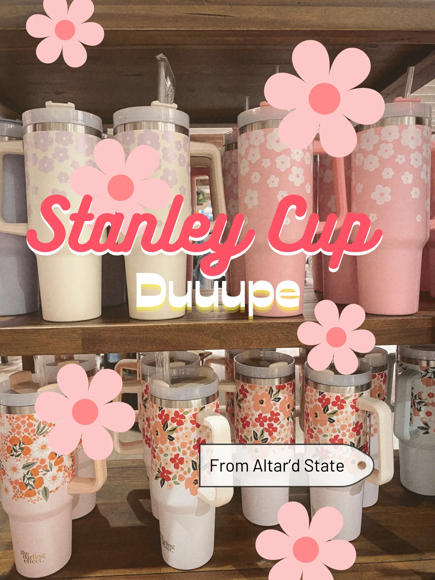 Stanley Cup DUPES, Gallery posted by Molly