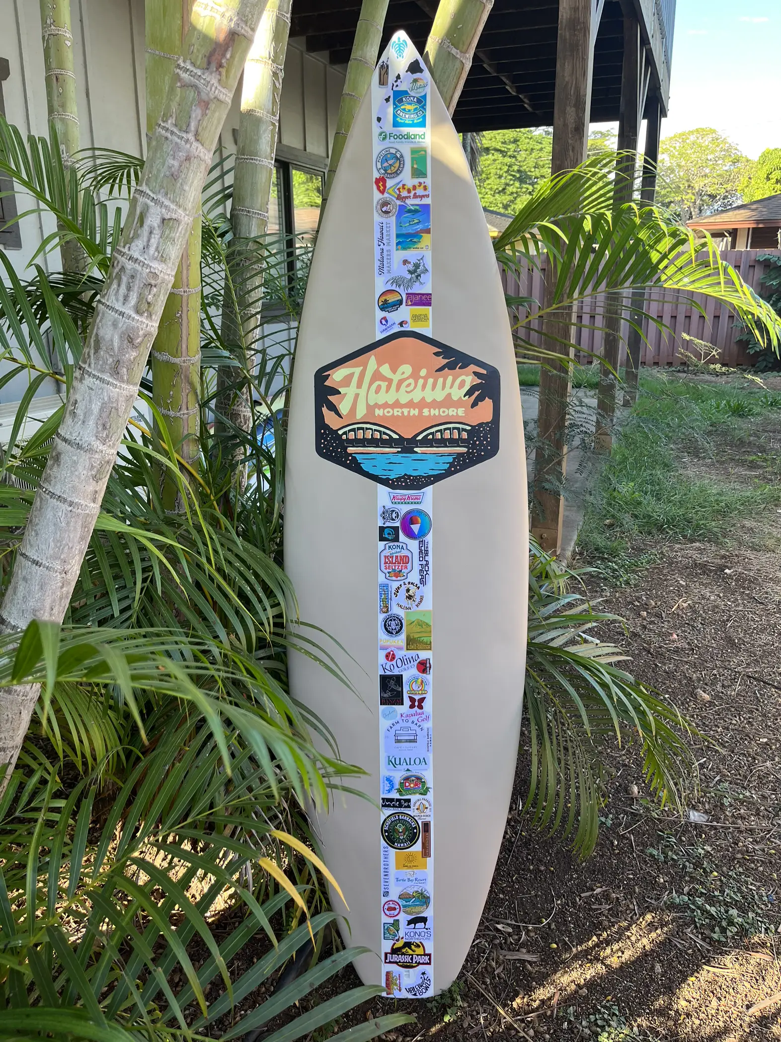 アロハロングボード9.6