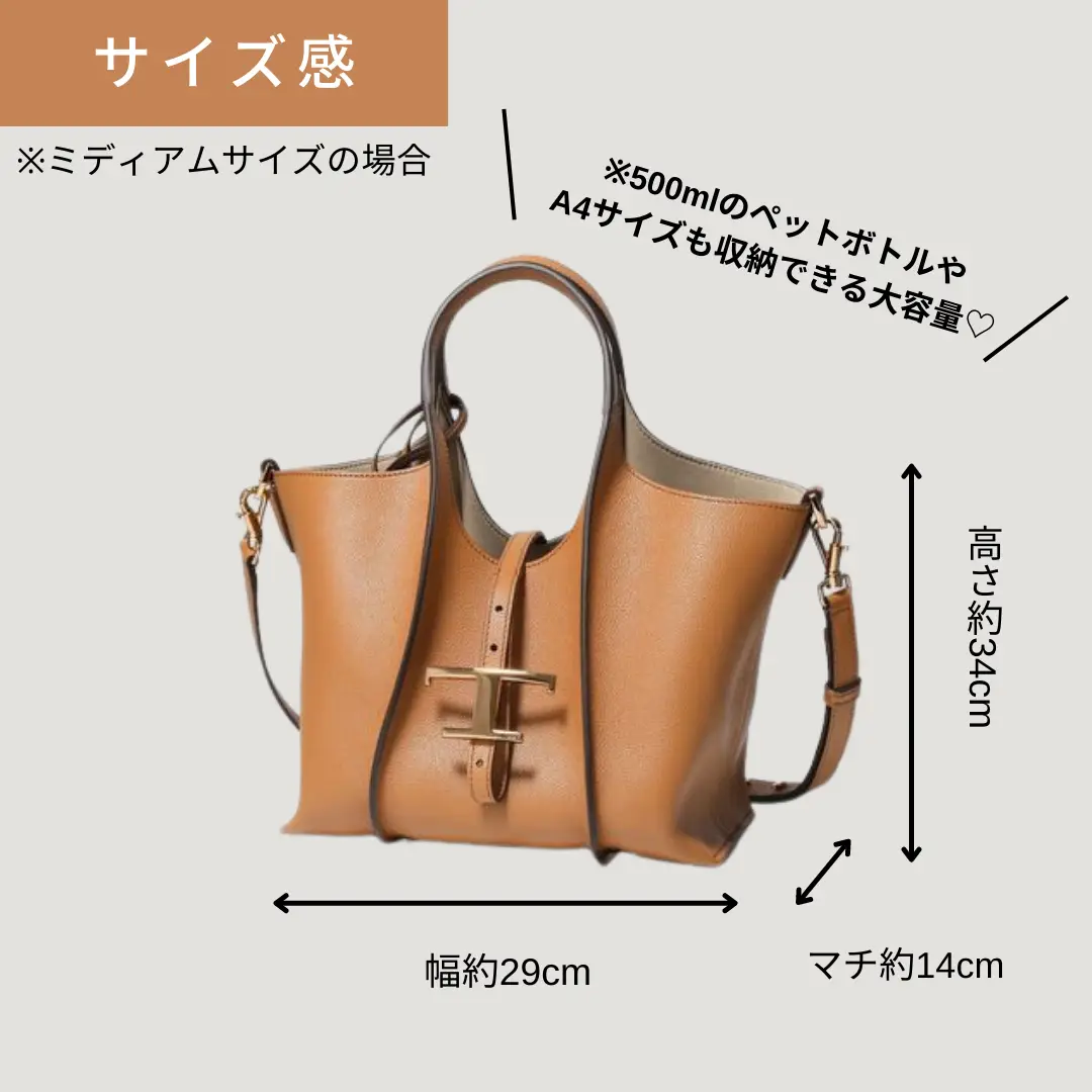 sHowの商品一覧2022新作✨トッズ マイクロ ショルダーバッグ 2way T ...