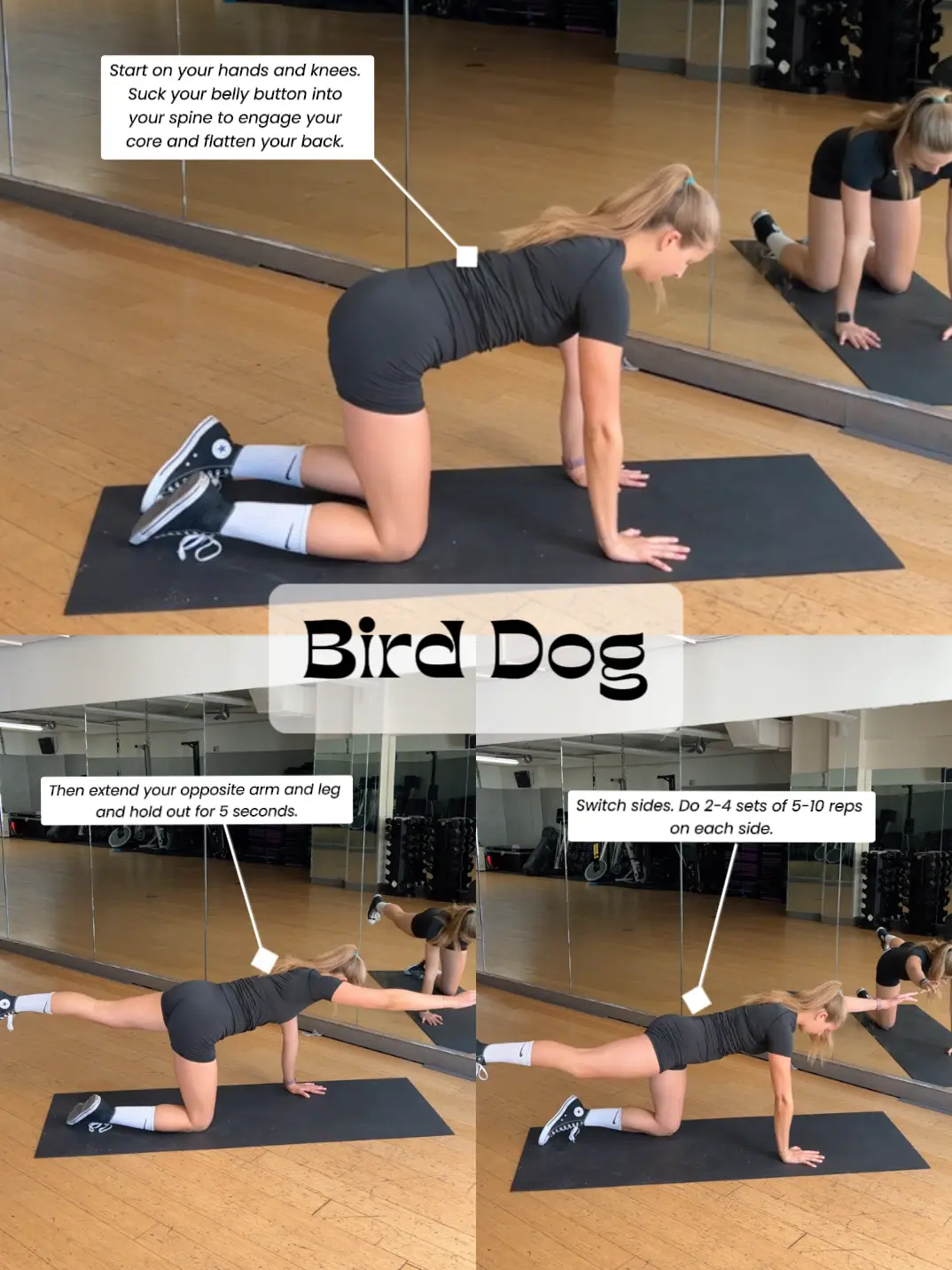 Bird Dog - Leg Slide with lift and opposite arm lift