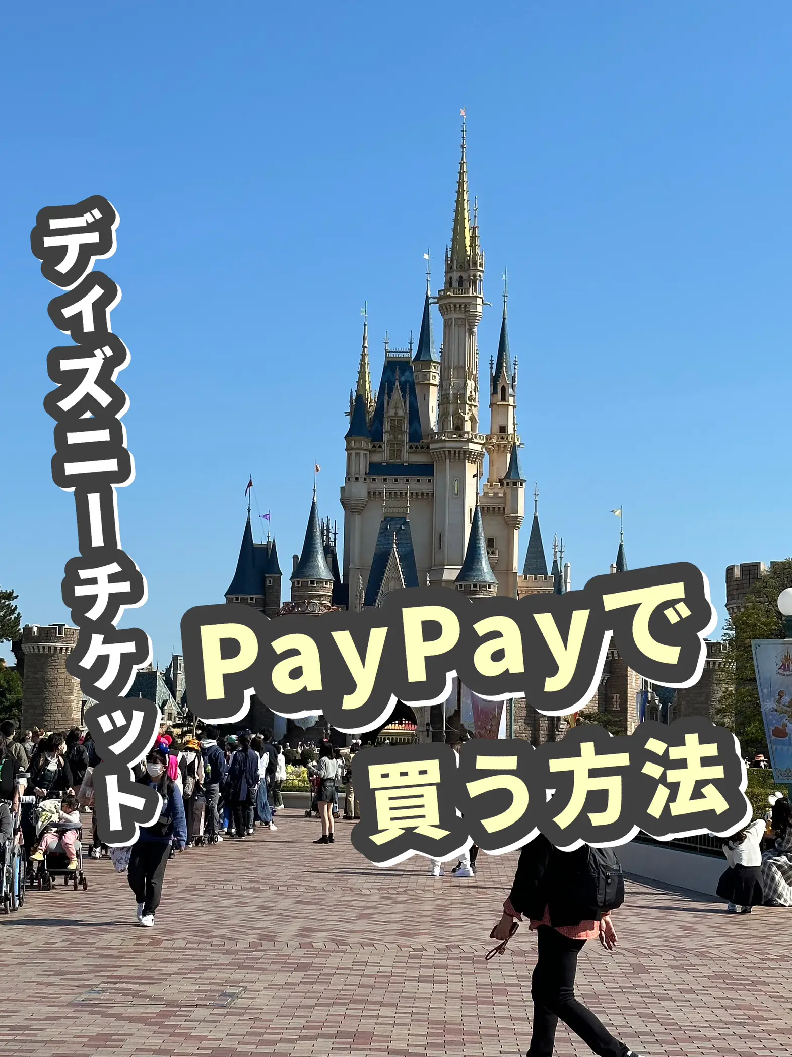 ディズニーチケットをPayPayで払う方法 | アミノ家の投稿動画 | Lemon8