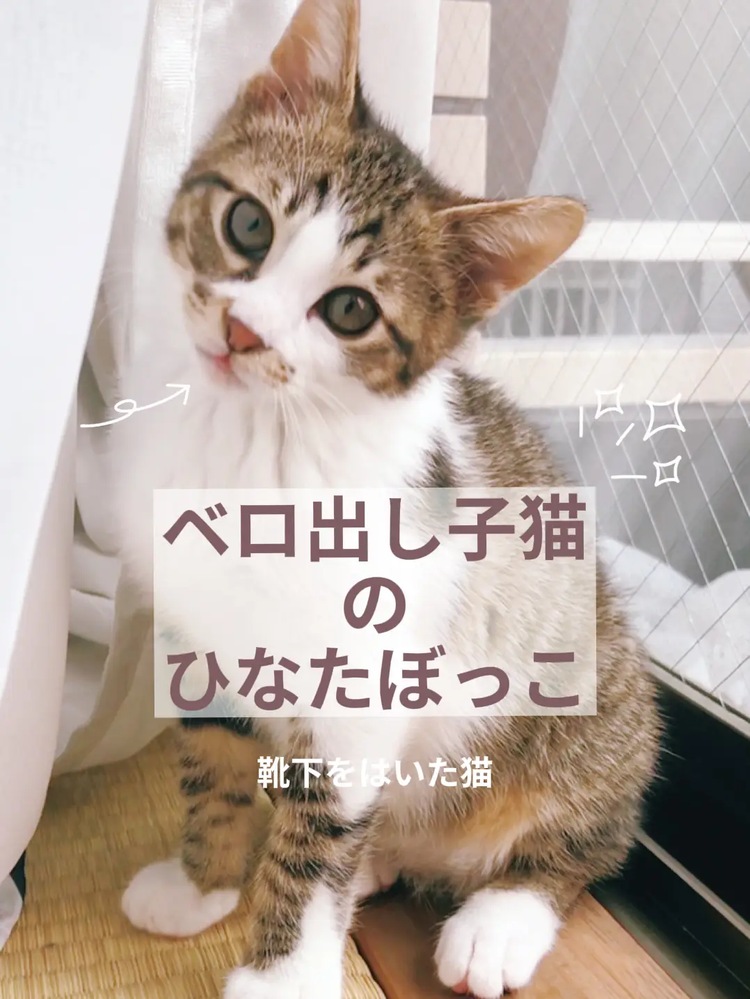 よく見ると、、、😻