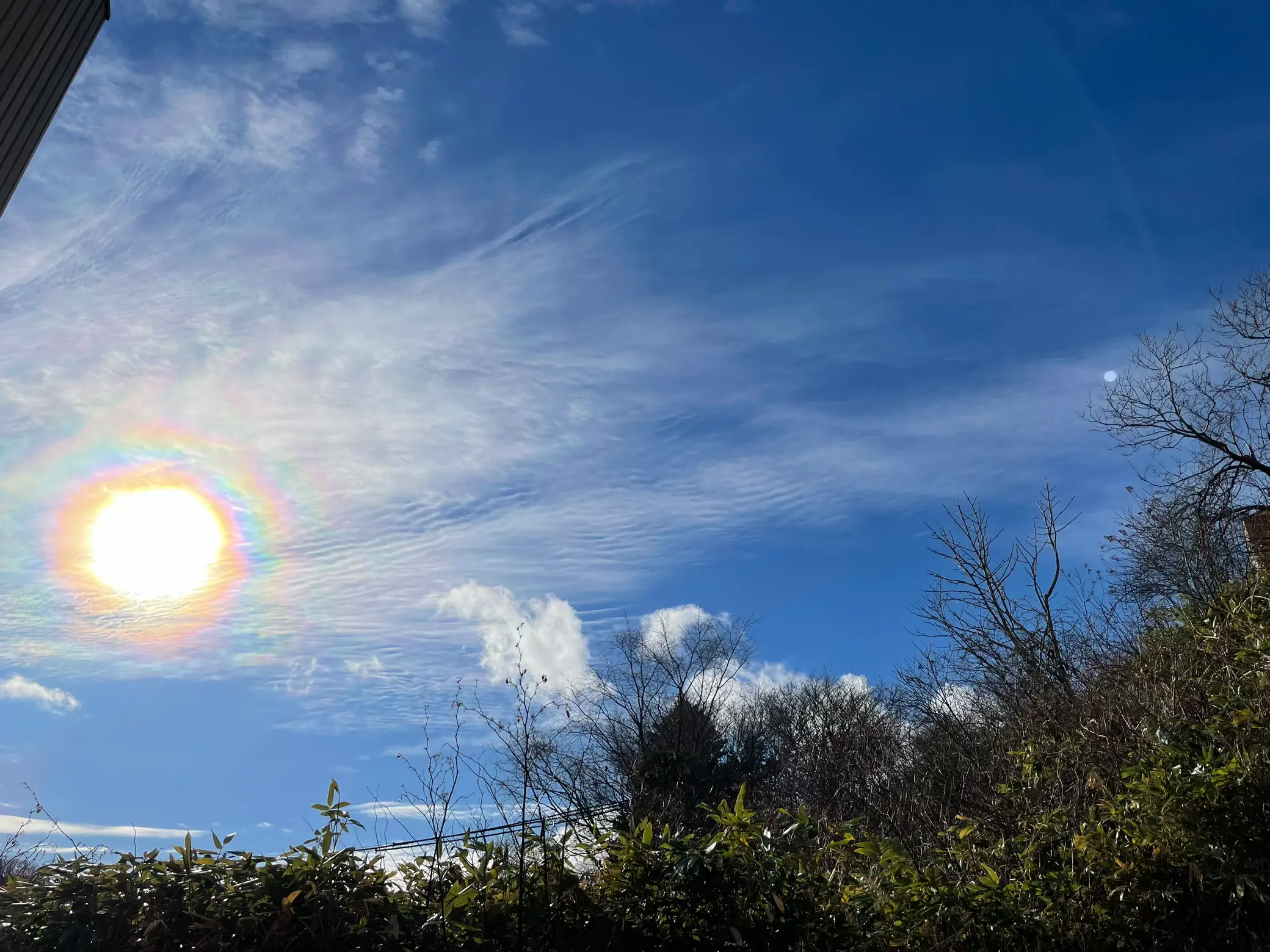 太陽の周りに🌈 | ☾奏空🫧soraが投稿したフォトブック | Lemon8