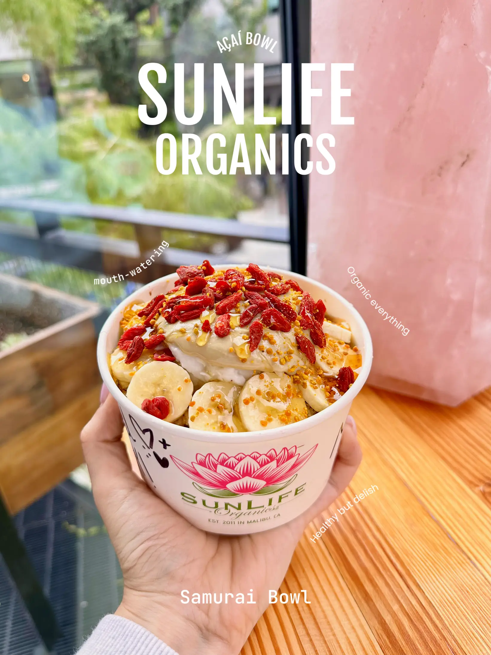 Samurai, Discover Our Smoothies, Plant-Based Breakfast