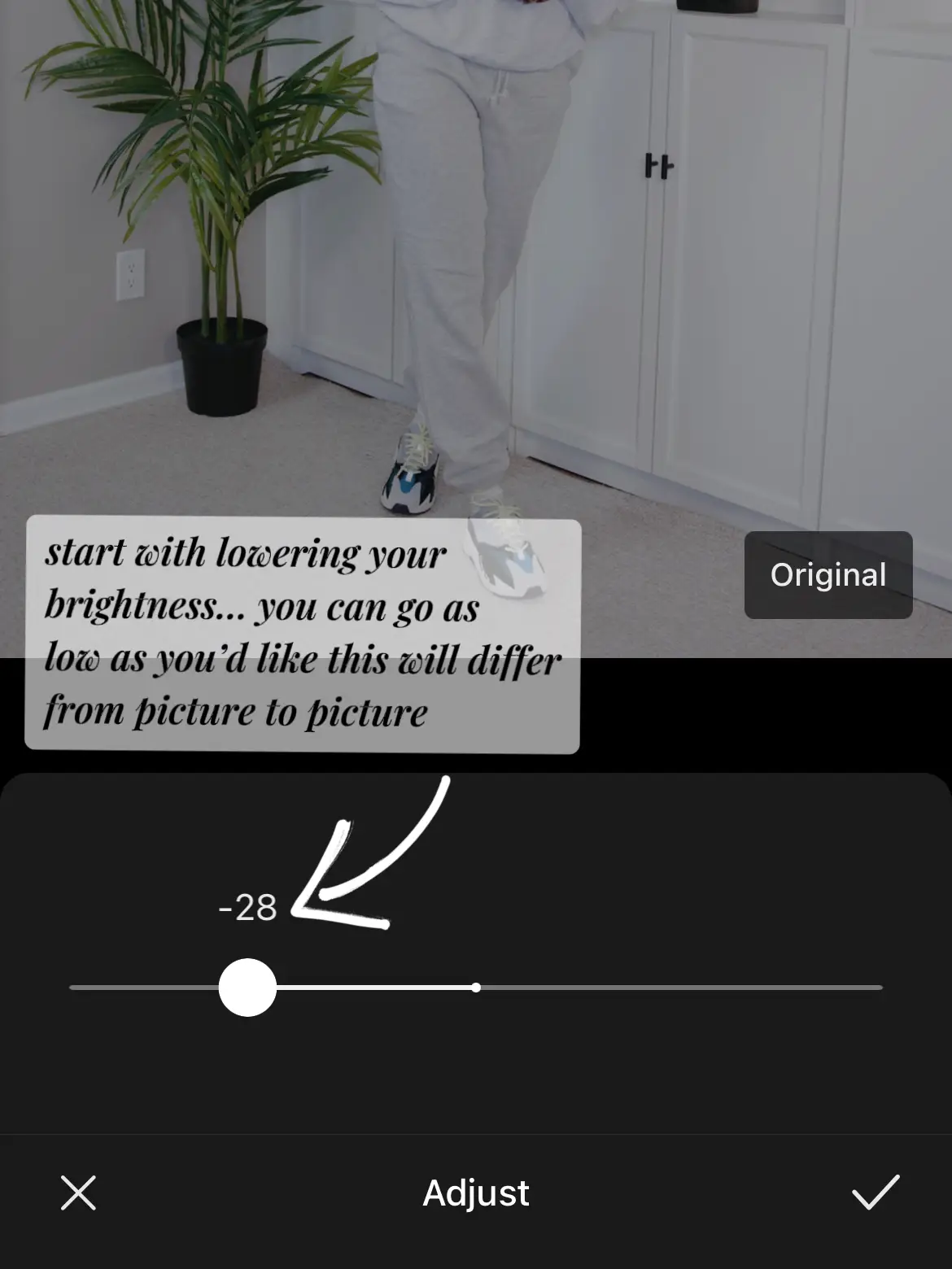  A person is standing in a room with a potted plant. The image is a screenshot of a photo editor.