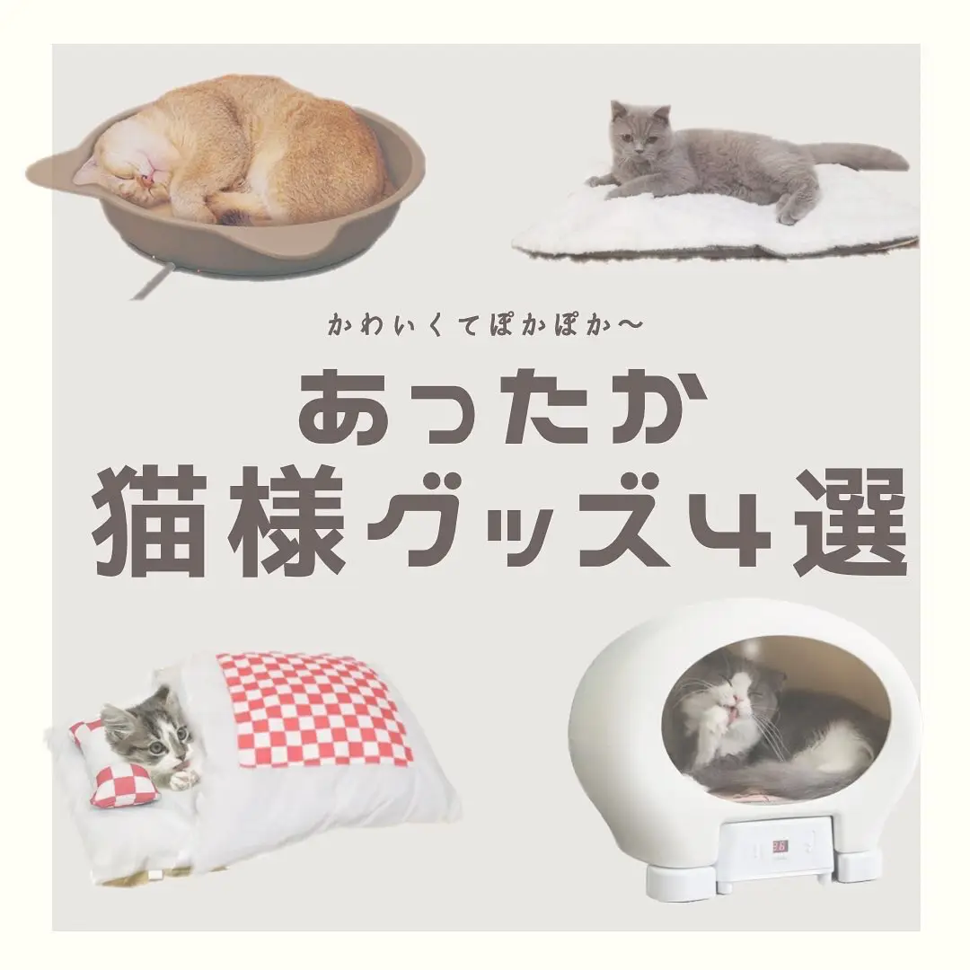 SALE価格 花猫様 リクエスト 2点 まとめ商品 | 192.155.92.212