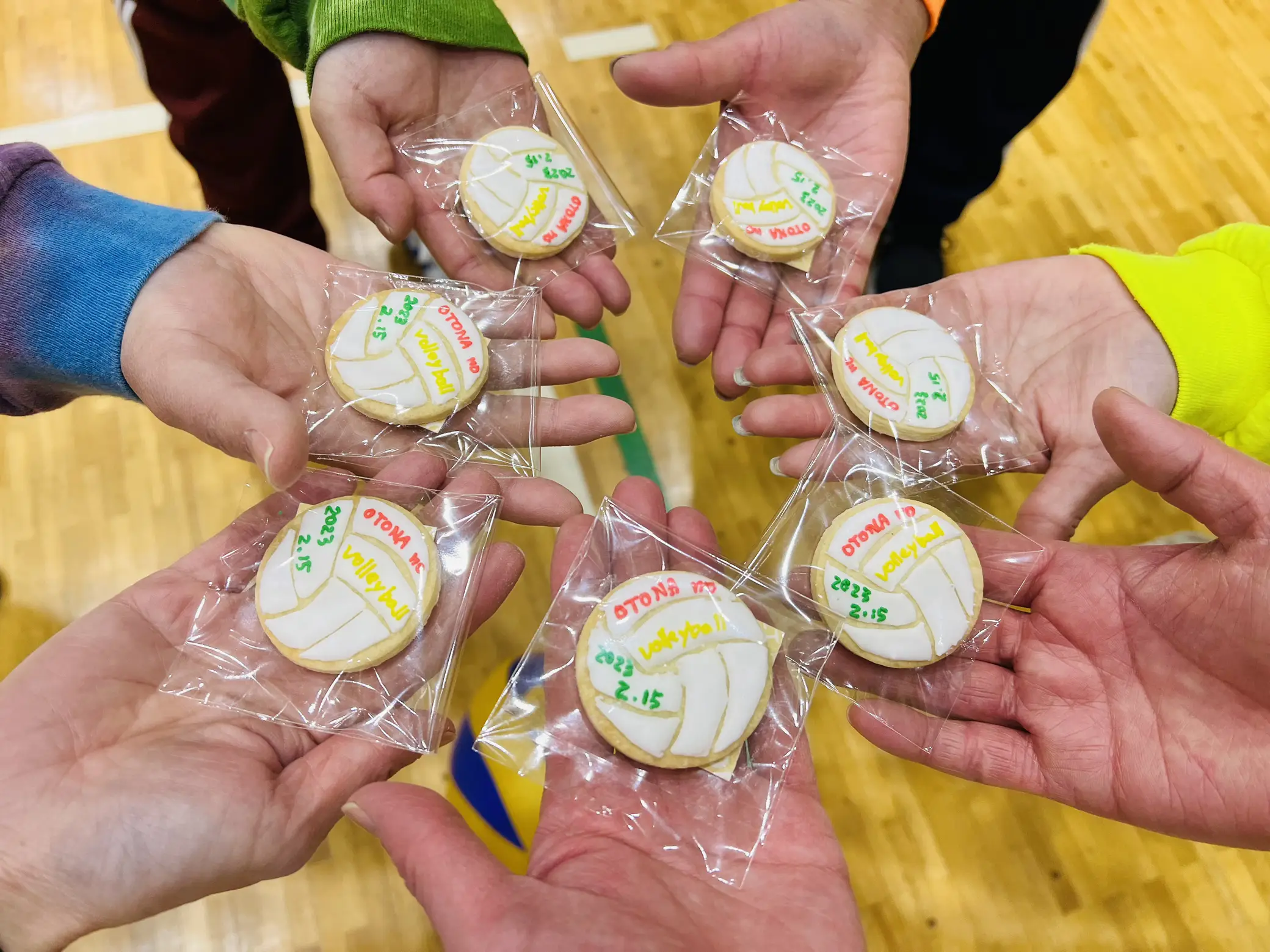 バレーボール🏐なアイシングクッキー🍪 | ぐすたーれ🌈kiyoが