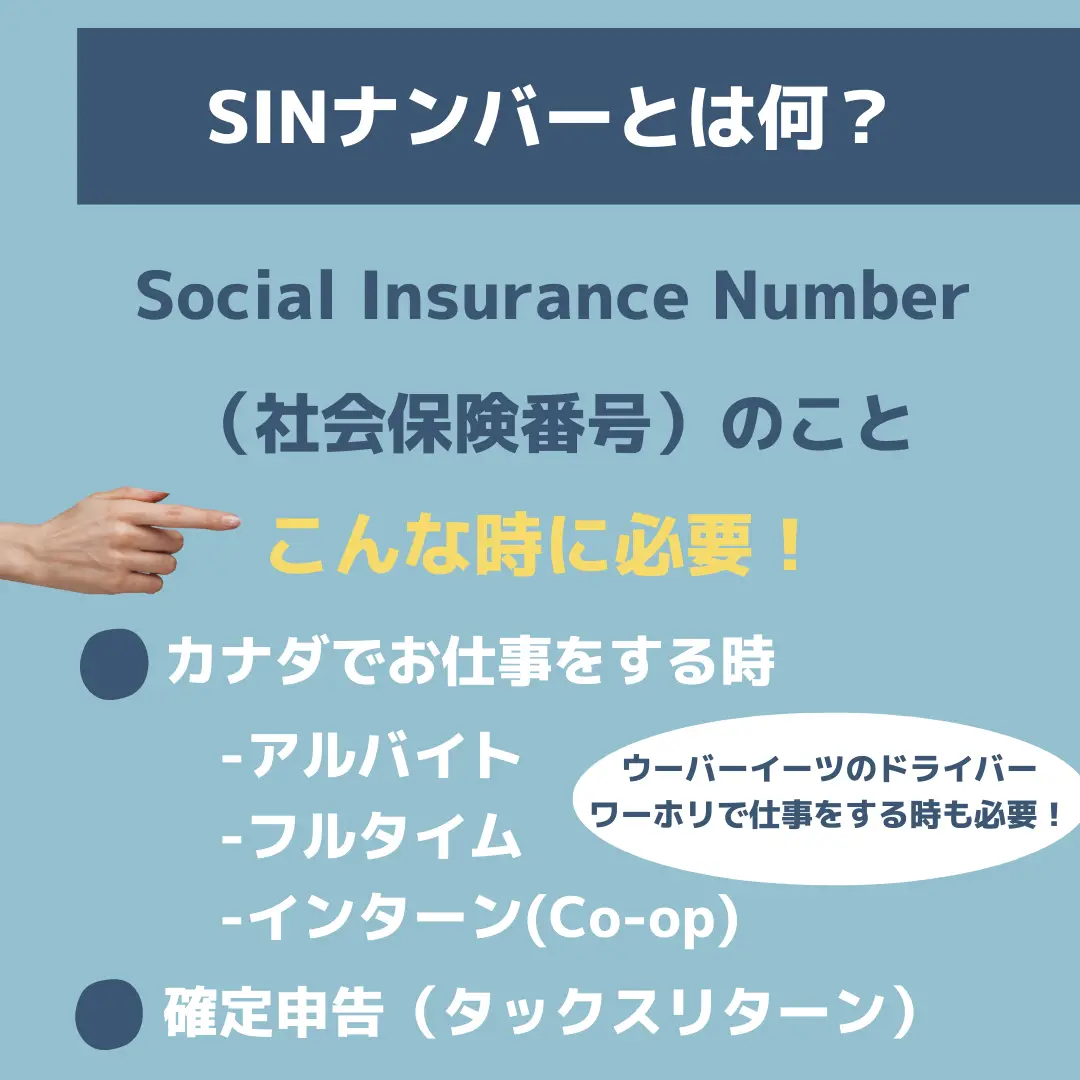 オンラインで出来る！】SINナンバー(社会保険番号)の申請 | アクティ