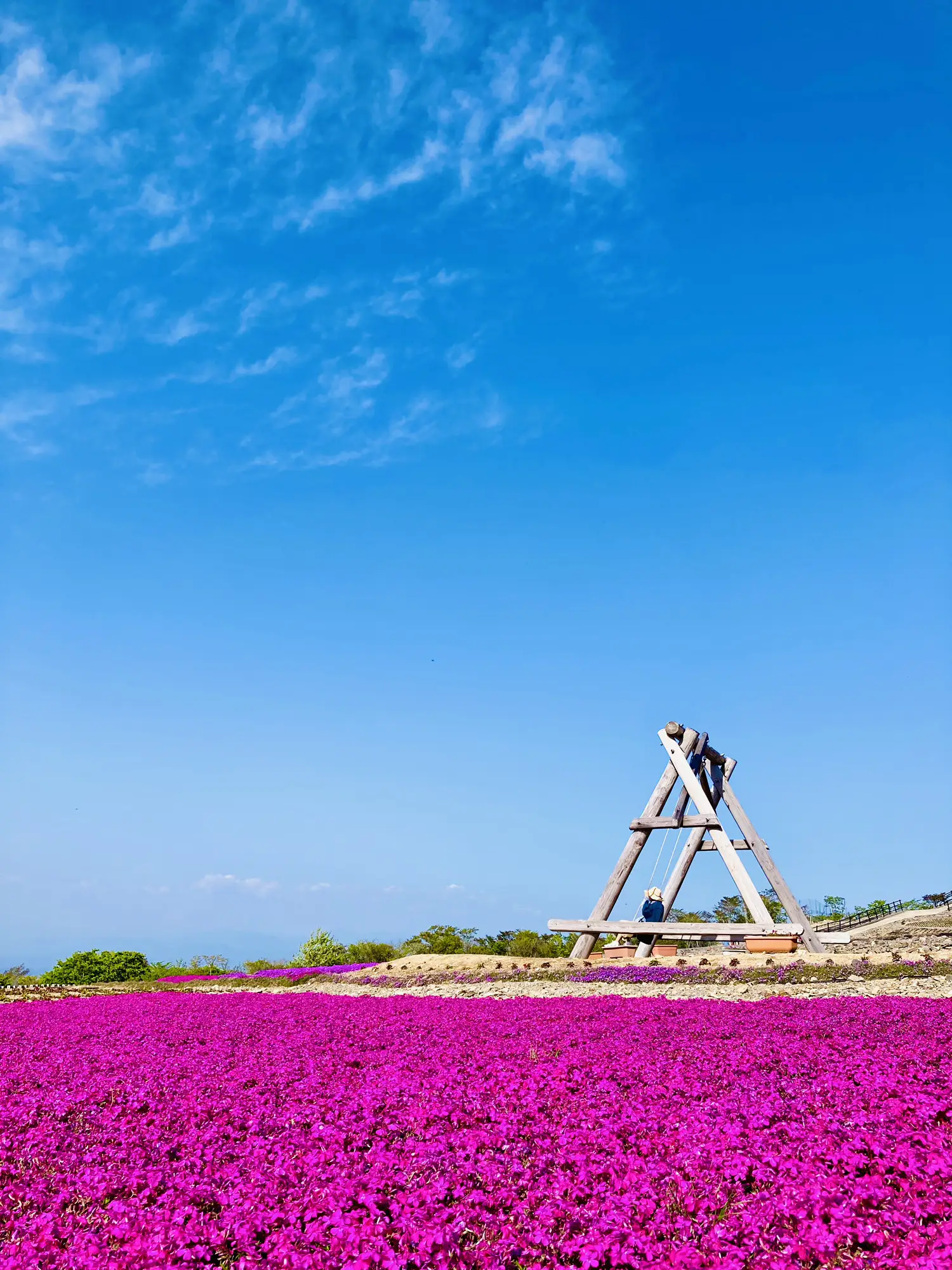 どこでもドアで毎日通いたくなる高原の絶景   | garapagos絶景旅行提案が投稿したフォトブック | Lemon8