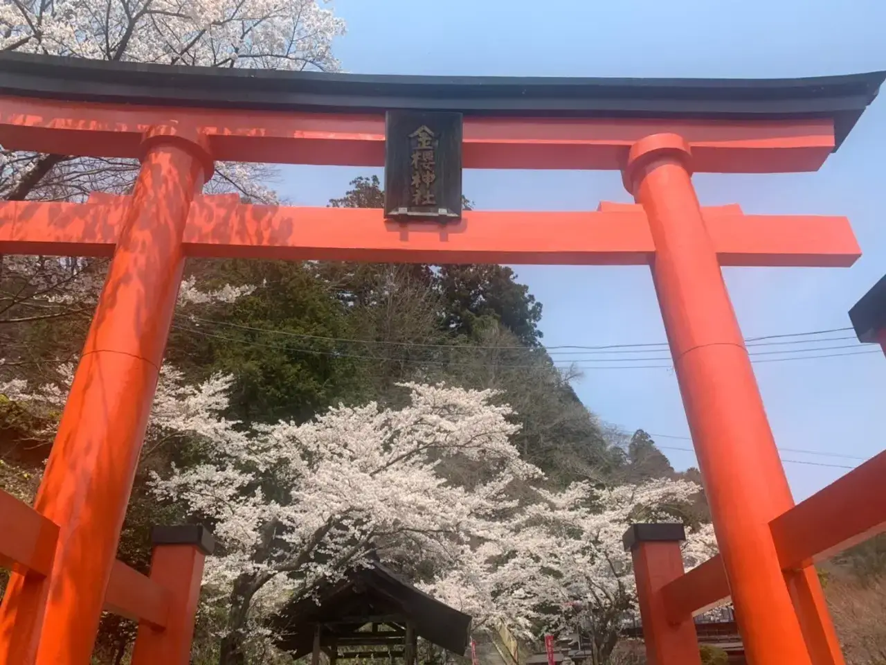 ☆最強パワー神社☆水晶発祥地金櫻神社♪ - 置物