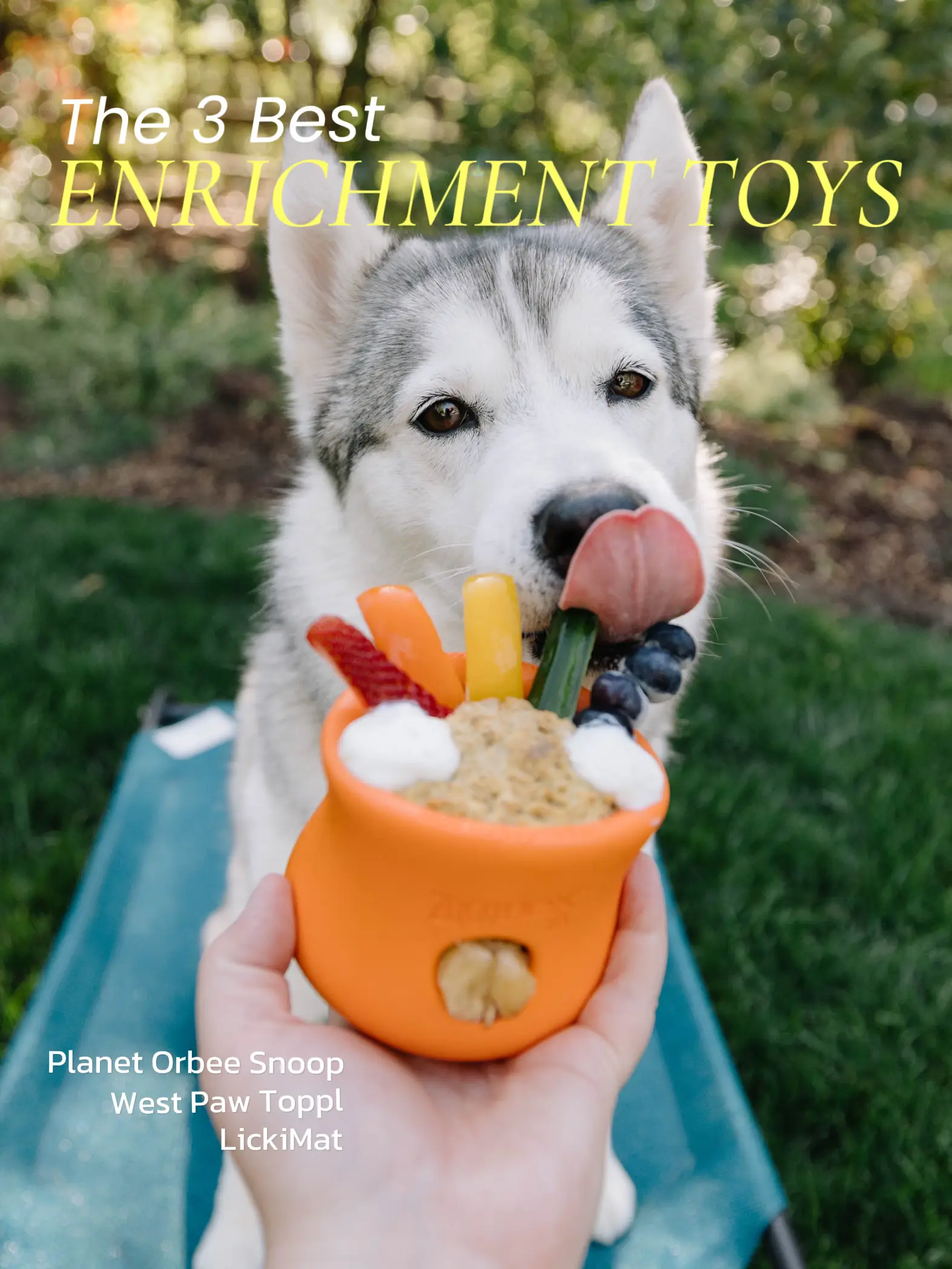 Treat Dispensing Dog Toys - Interactive Puzzle Toys - Mentally Stimulating  Toys for Dogs -Dispenser Puppy Food Toy Great Alternative for Dog Slow  Feeder Toy - Dog Enrichment Toy for Boredom 