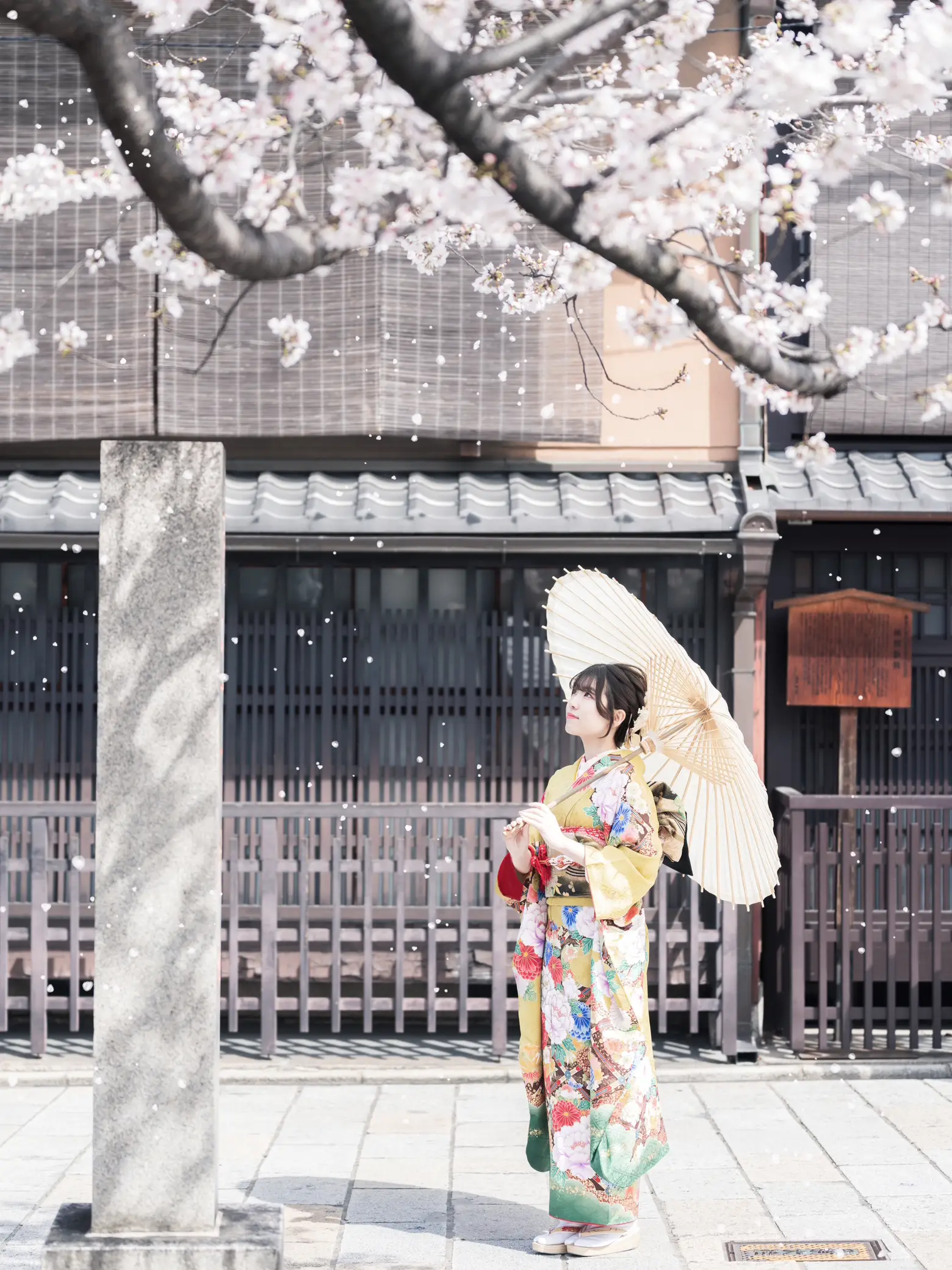 桜咲く京都での成人式前撮り・後撮りが最高🌸 | Yusukeが投稿した