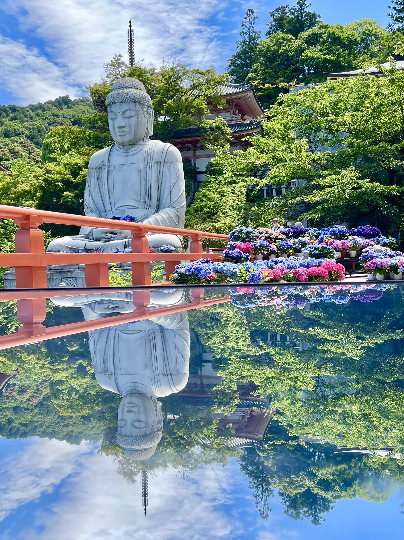 🚶週末おでかけ記録 壷坂寺 | 一期一会が投稿したフォトブック | Lemon8