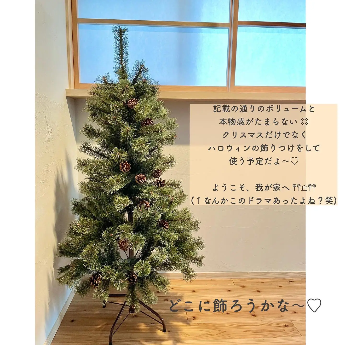 念願の Alsace tree 🎄 | miiz__homeが投稿したフォトブック | Lemon8