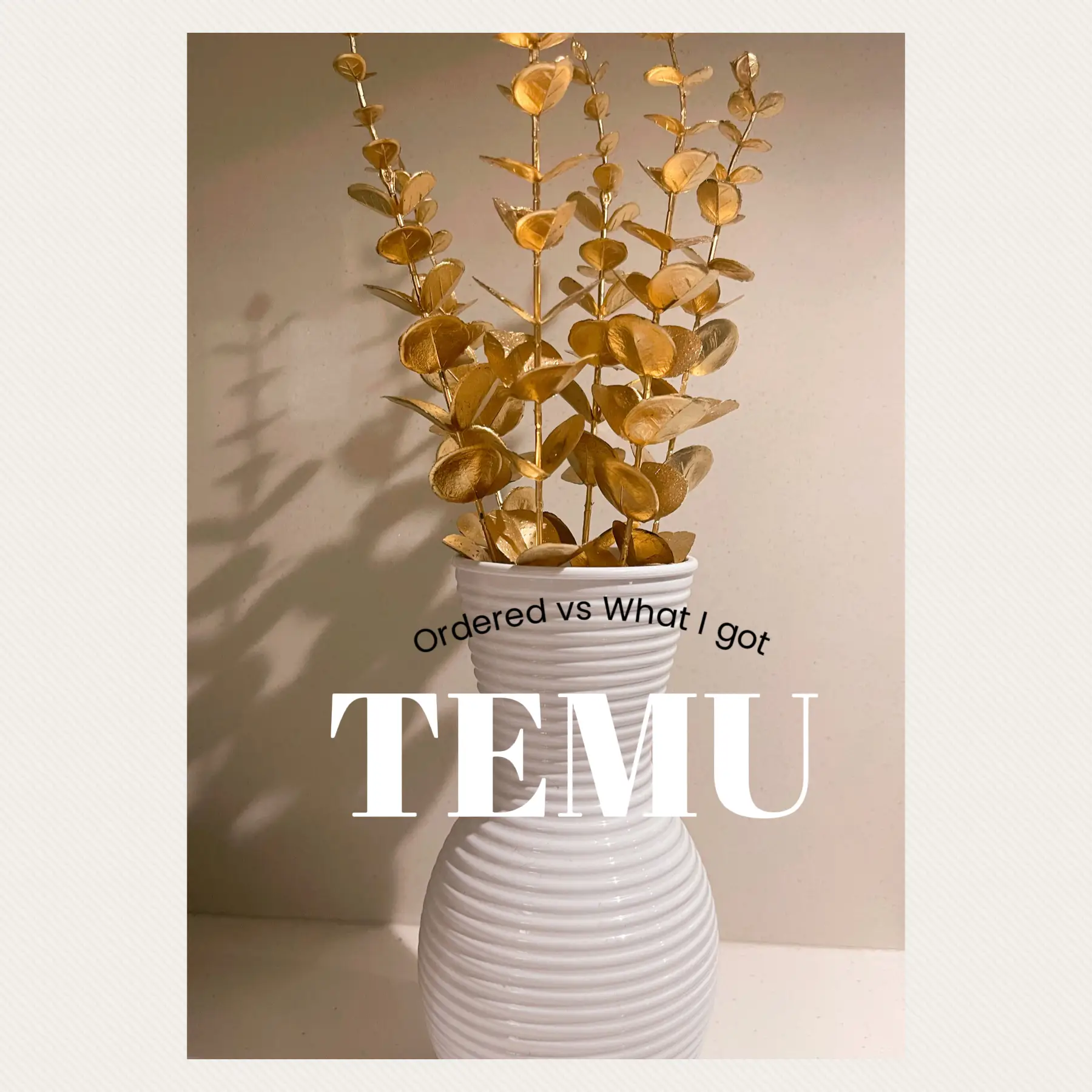 TEMU ORDER NO. 2, Gallery posted by Kirsten