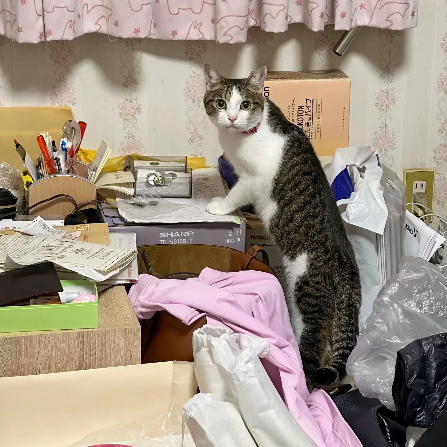 うんこ座り　バイブ 