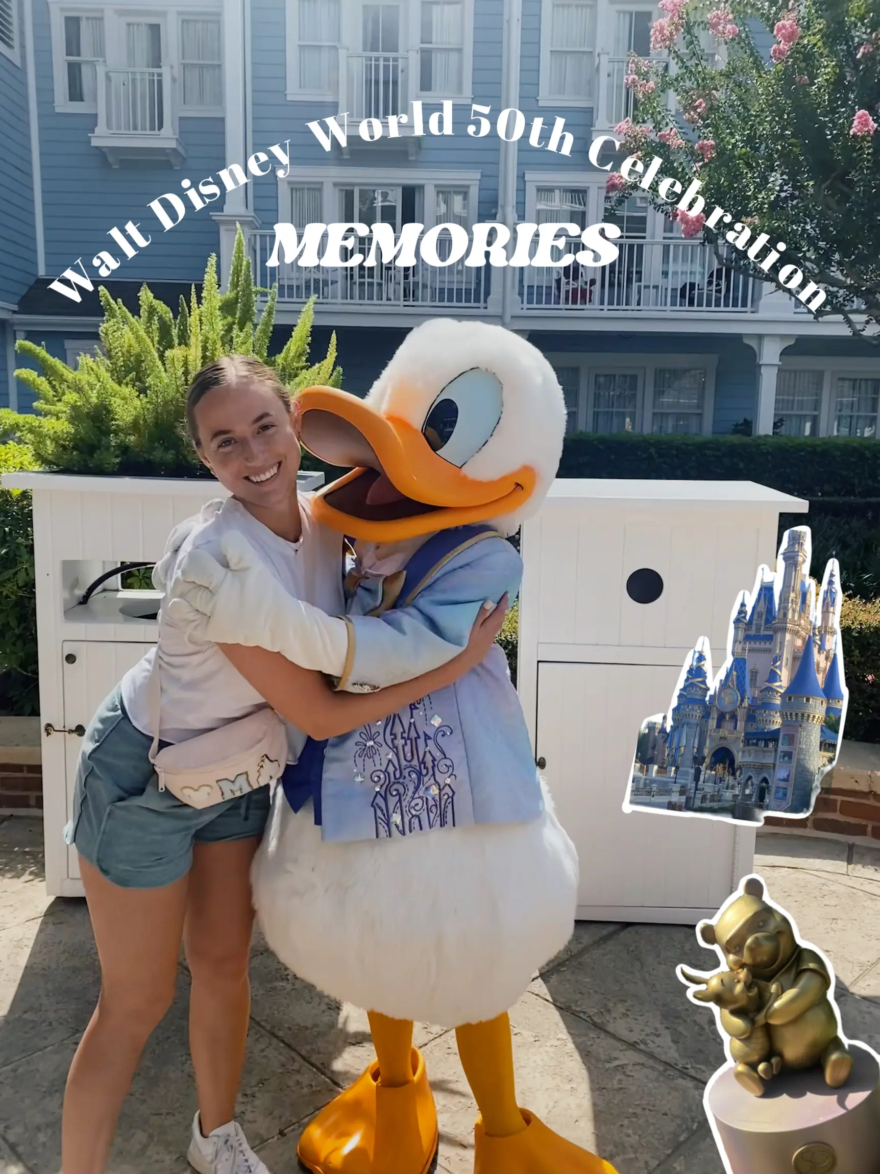 Walt Disney World 50th Celebration - Memories's images