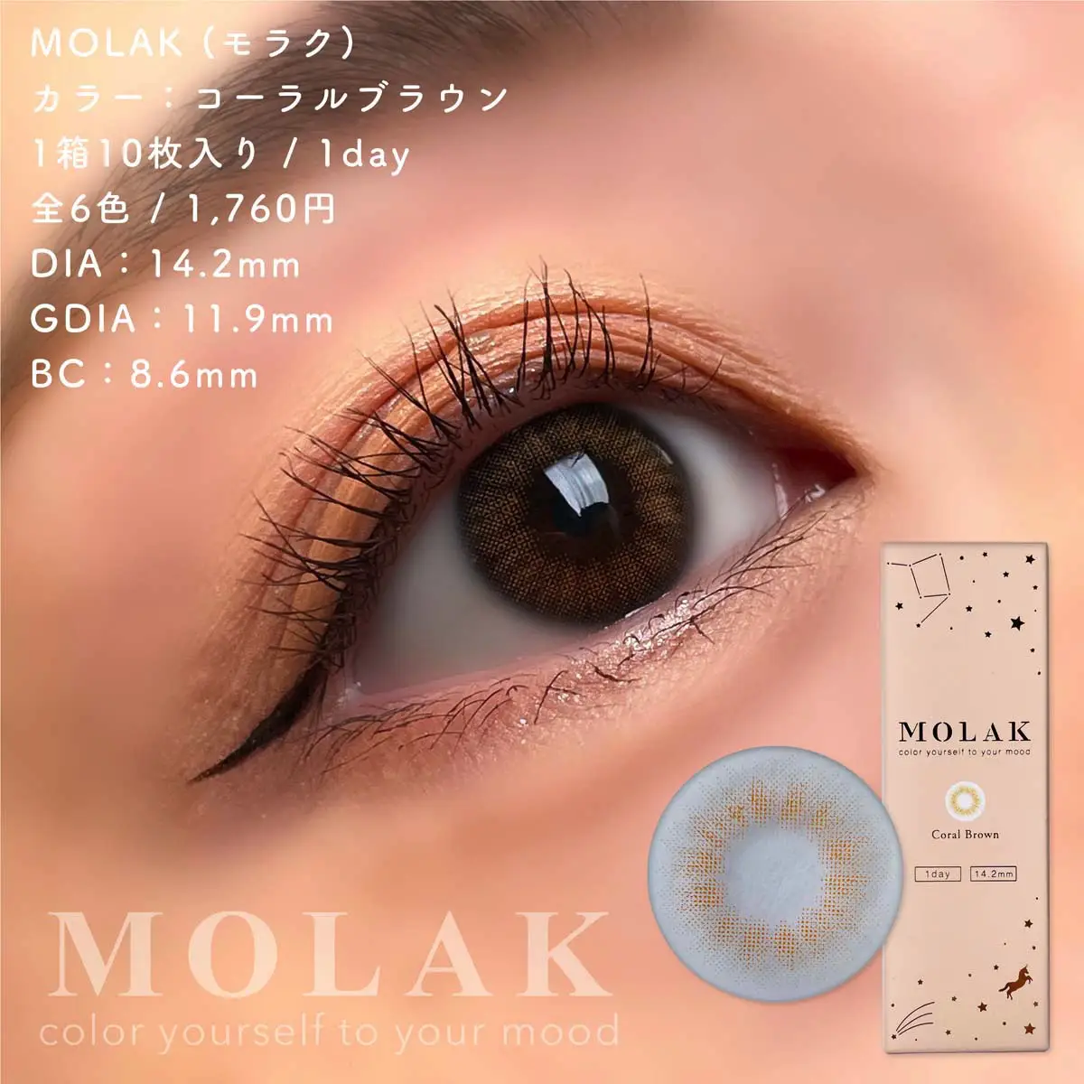 MOLAK 【Color Contacts/1-Day/Prescription, Non- Prescription/10 Lenses】 ｜  DOKODEMO