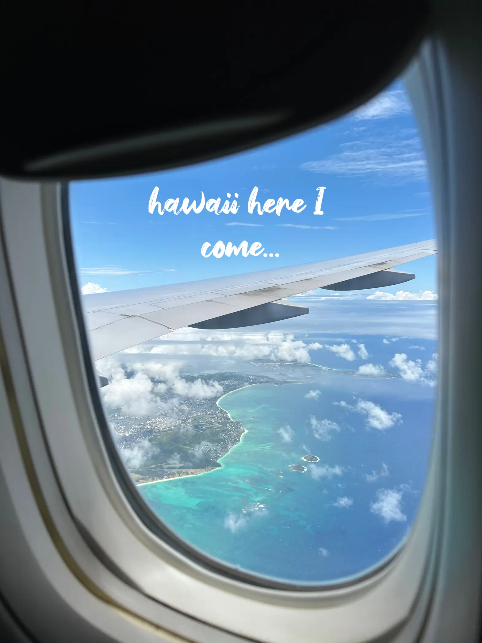 hawaii here I come Gallery posted by Emily Dudley Lemon8