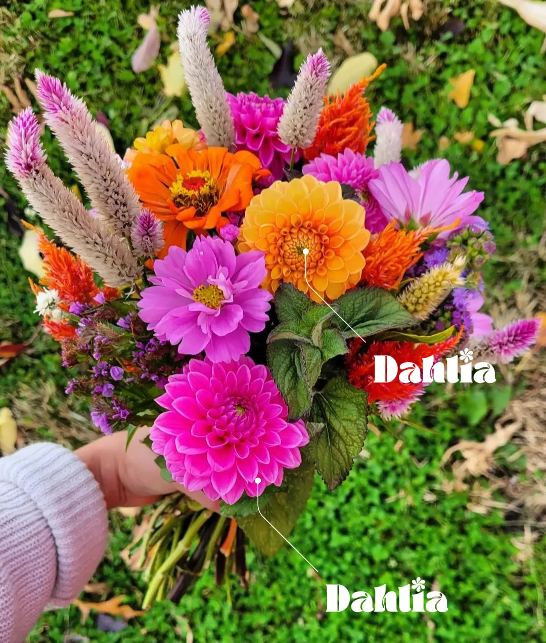 How to make the Boyfriend Hat Bouquet 💐, Gallery posted by  gabbysgiftguide