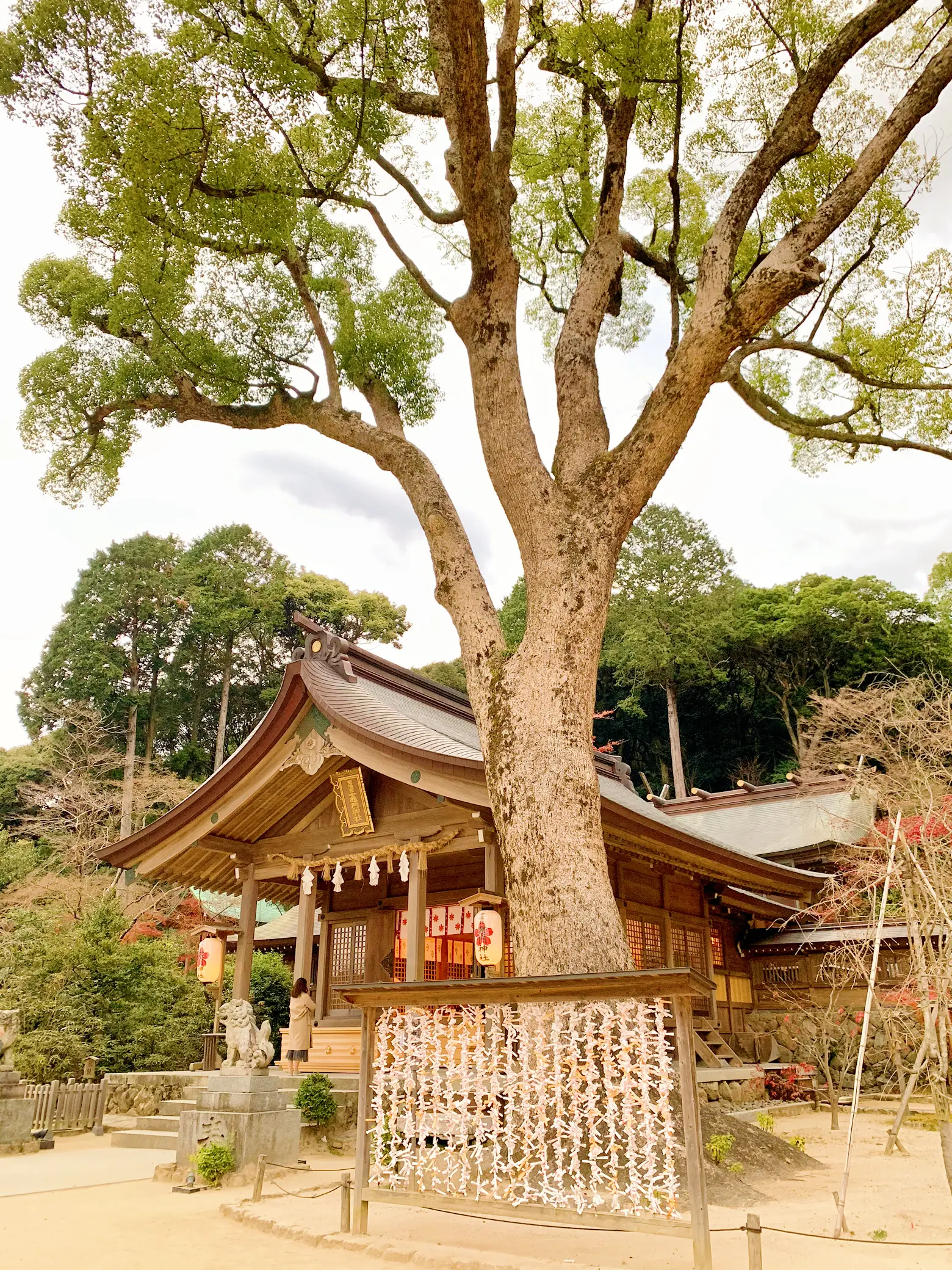 ✼福岡✼ えんむすびの神様♡かわいいお守りがたくさんな鬼滅な神社