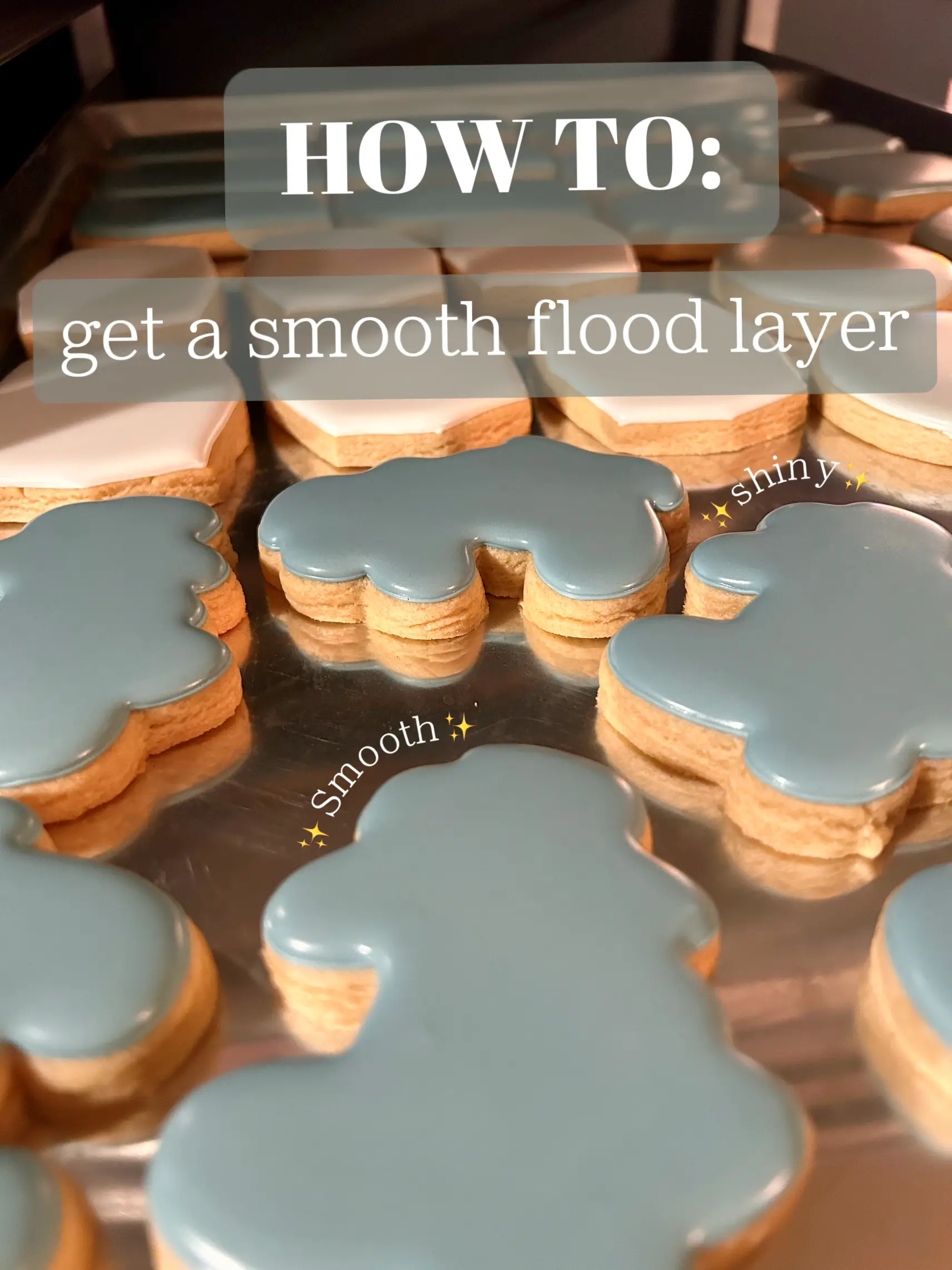 BEST Food Dehydrator  How to Use a Dehydrator for Royal Icing