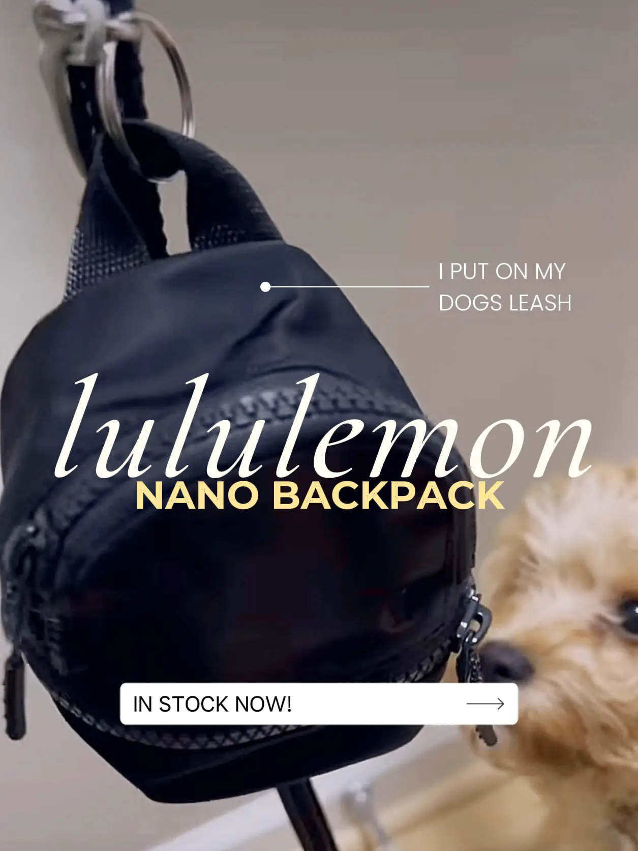 Lululemon Gray/Black/Cream Color Block with Back Zipper Pocket