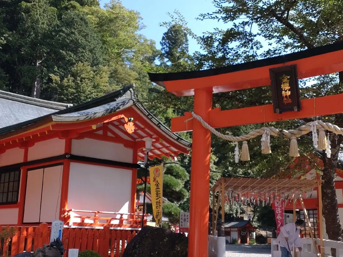 金櫻神社⛩️御朱印 甲府市 | taichiが投稿したフォトブック | Lemon8