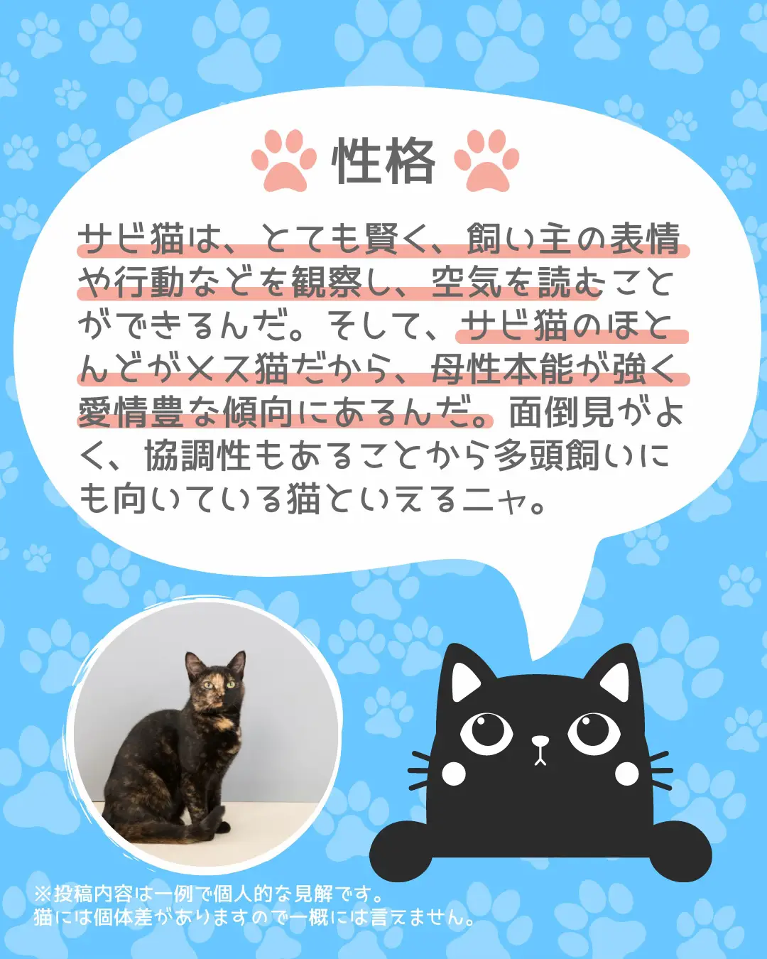 海外でも人気】サビ猫ってどんな猫？ | ねこすたぐらむ🐾猫好きさんが