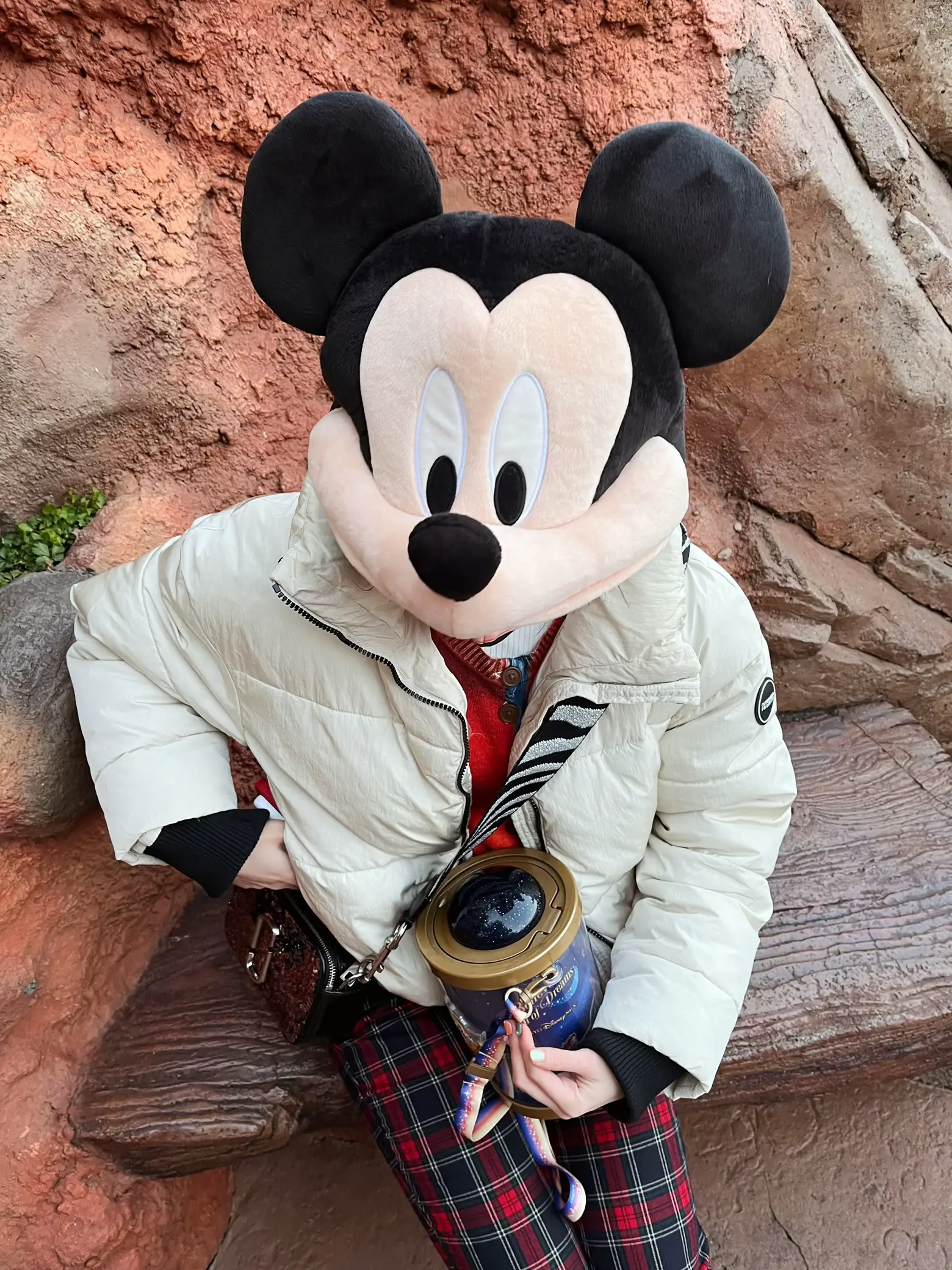 激レア】Disney ディズニーベビーミッキーマスコットペン