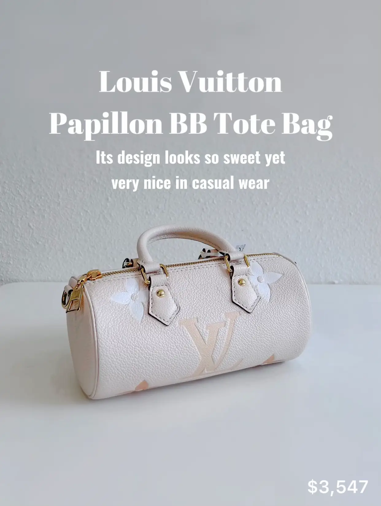 LOUIS VUITTON PAPILLON BB REVIEW AND BAG ORGANIZERS 