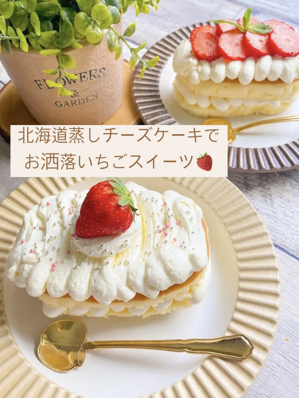 北海道蒸しチーズケーキでお洒落スイーツ???????? suzuカフェごはん·͜· ♡が投稿したフォトブック Lemon8