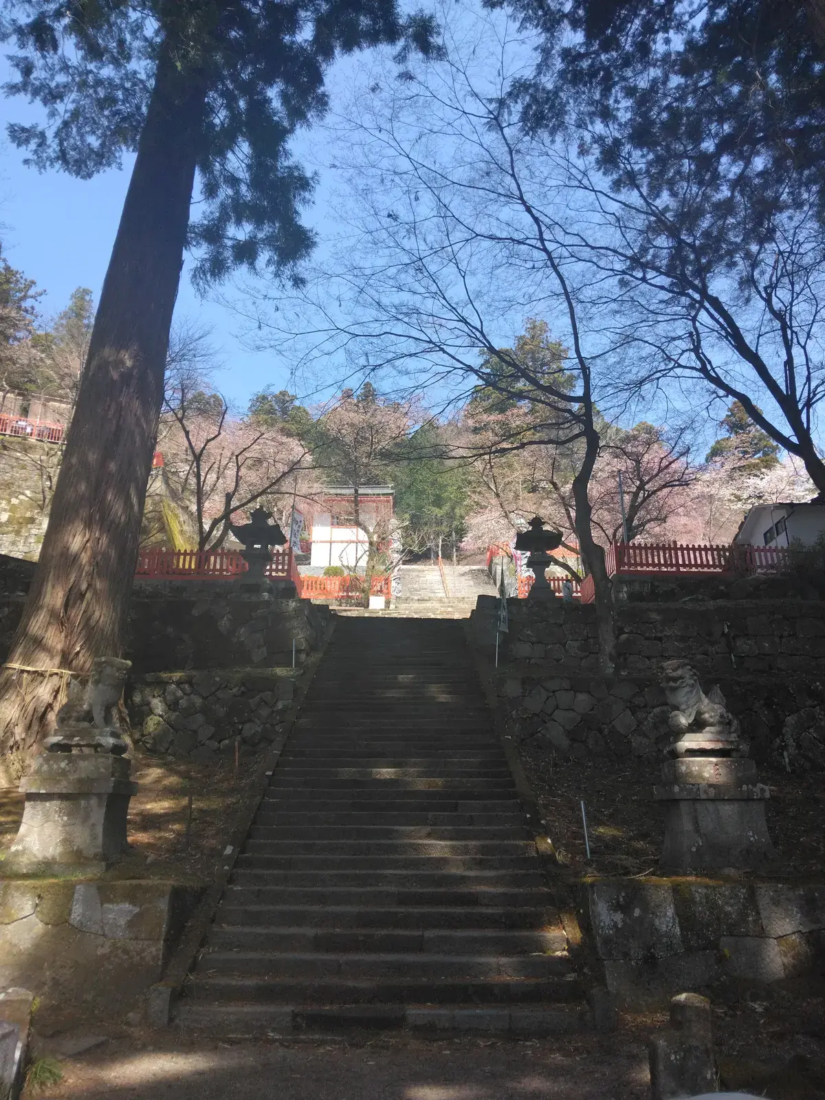 金櫻神社に今年も行けた🥺やっぱり圧巻！御朱印の押印が水晶！！！ | soraが投稿したフォトブック | Lemon8