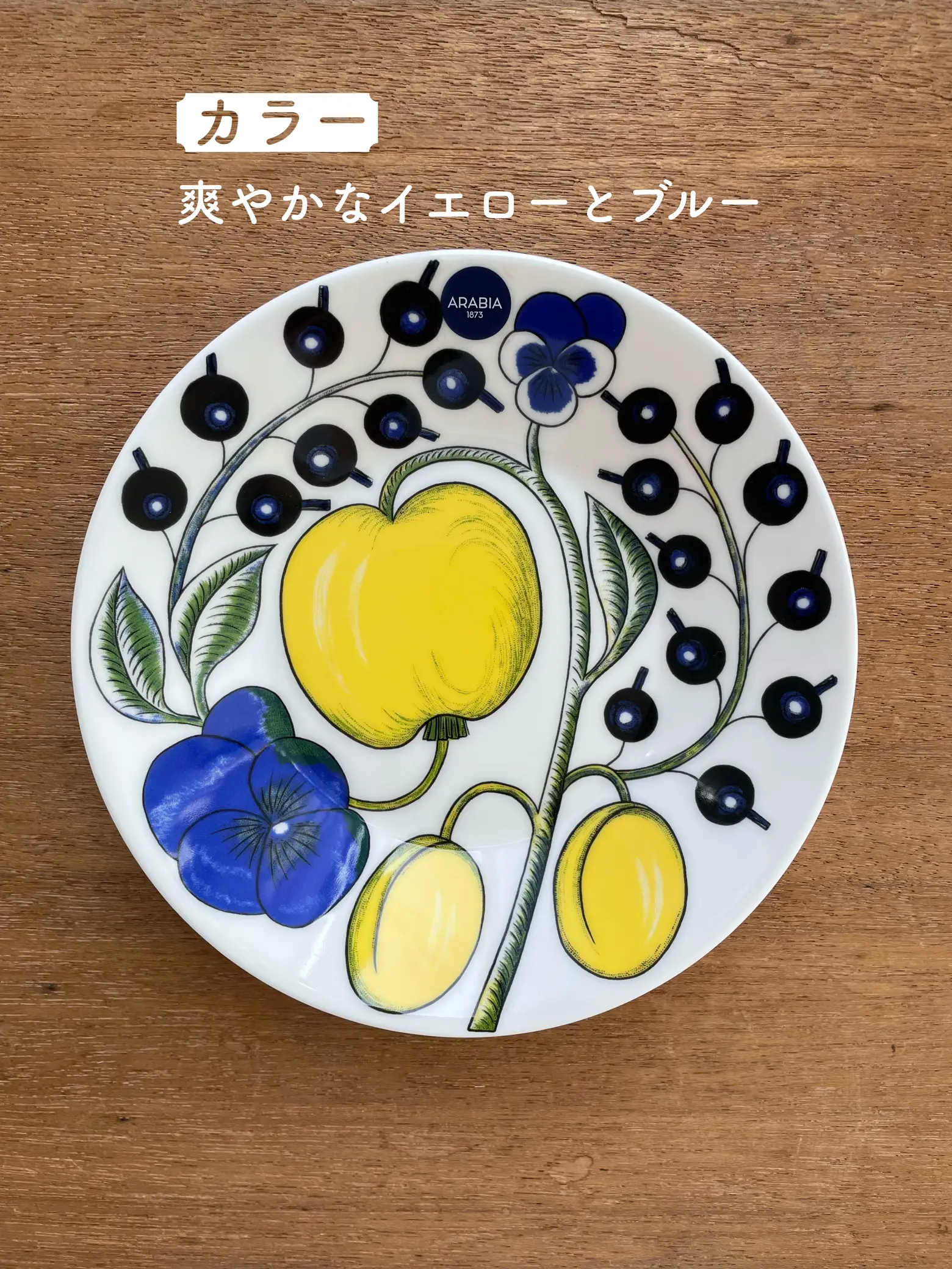 金井ゆみさん チェック柄のカラフルな皿 （金井ゆみさん