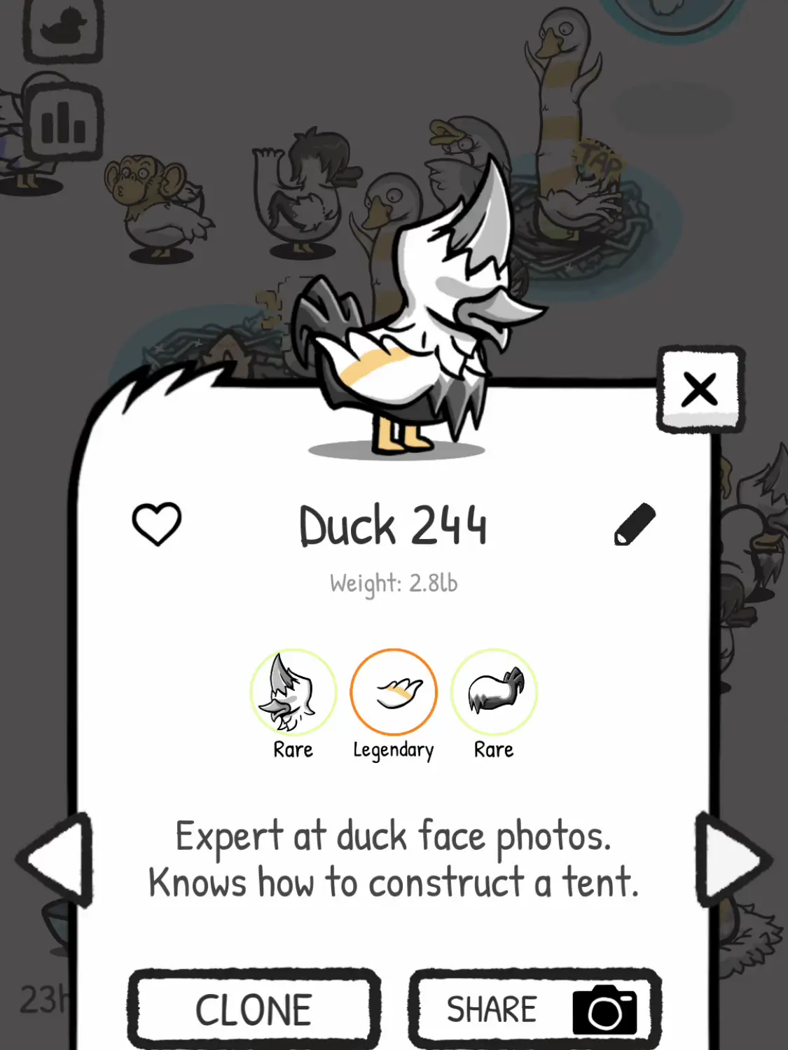 How to Set Up A Diy Duck Prize Game - Lemon8 Search