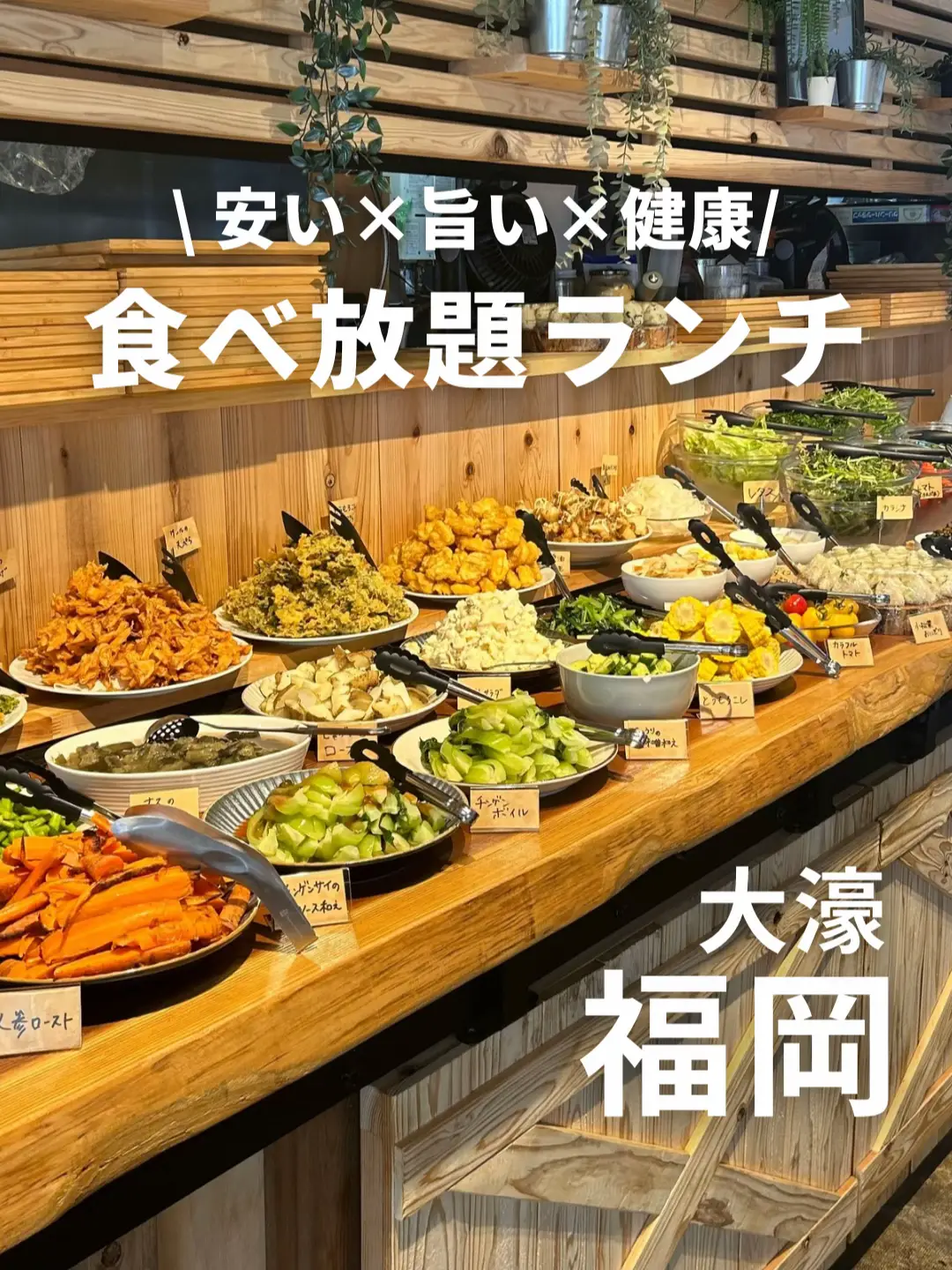 【980円で野菜食べ放題】カラダが喜ぶ絶品ランチ